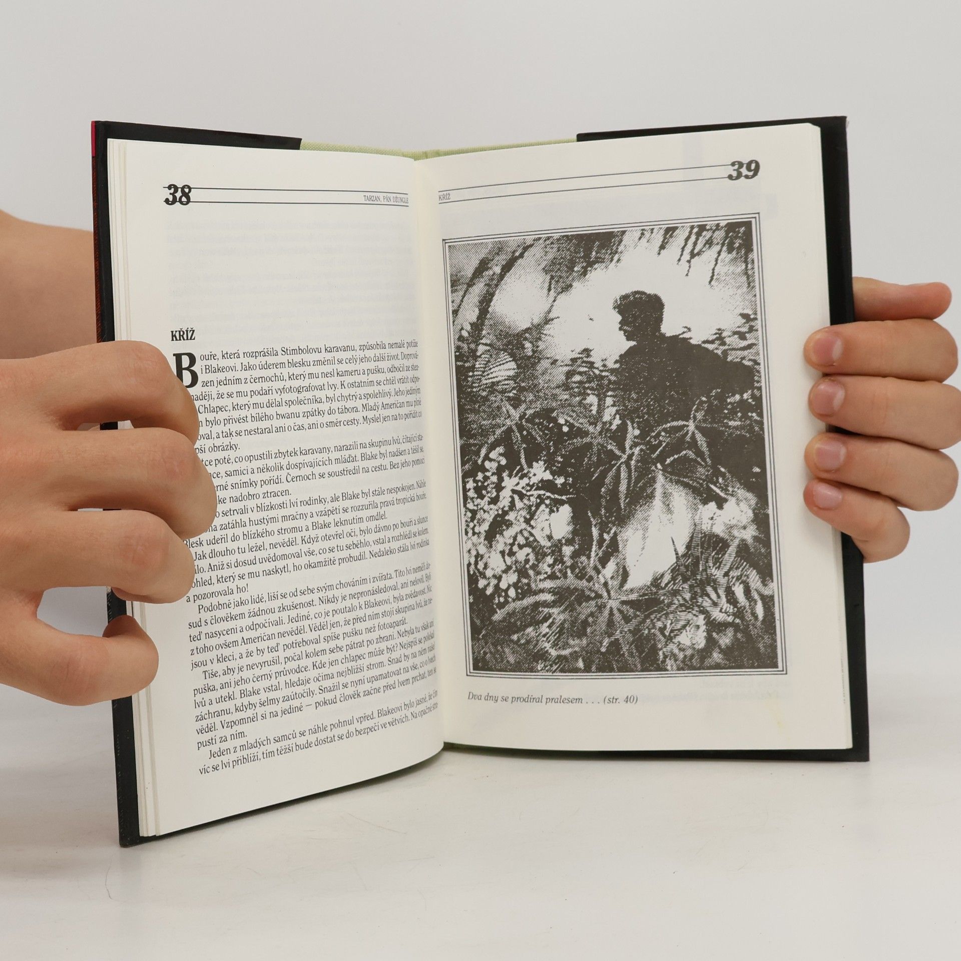 Edgar Rice Burrroughs Tarzan, pán džungle (díl 11)