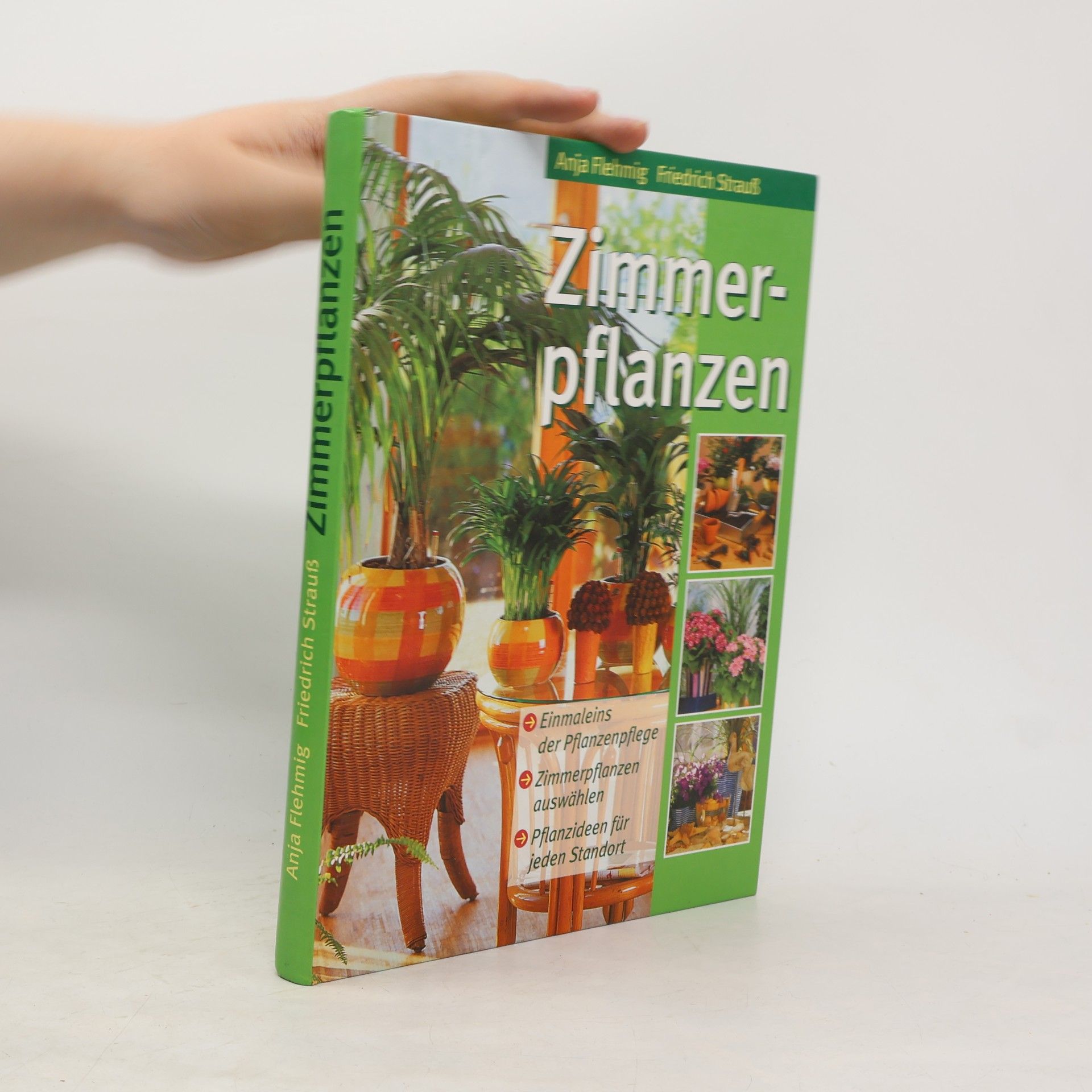 Anja Flehming Zimmerpflanzen