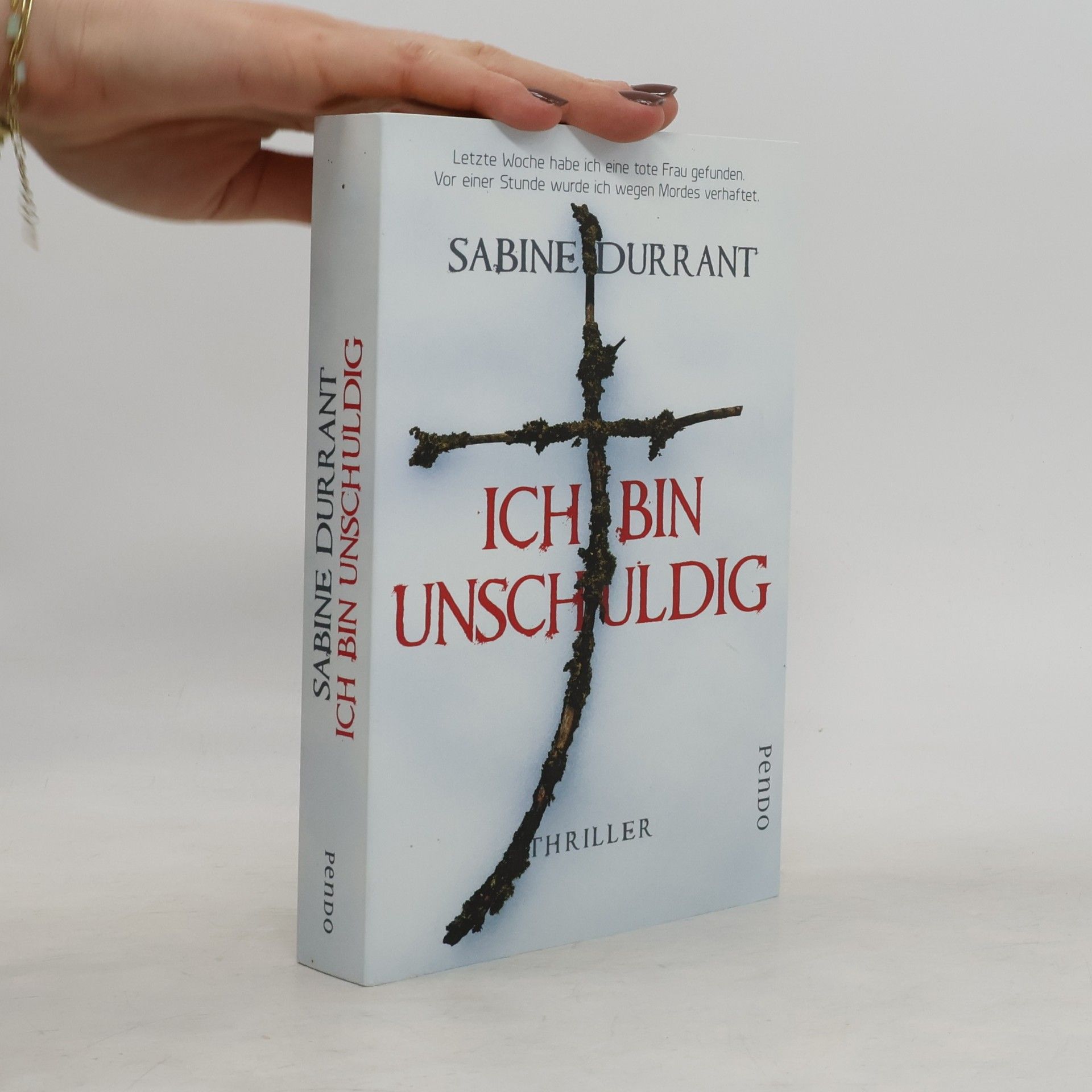 Sabine Durrant Ich bin unschuldig