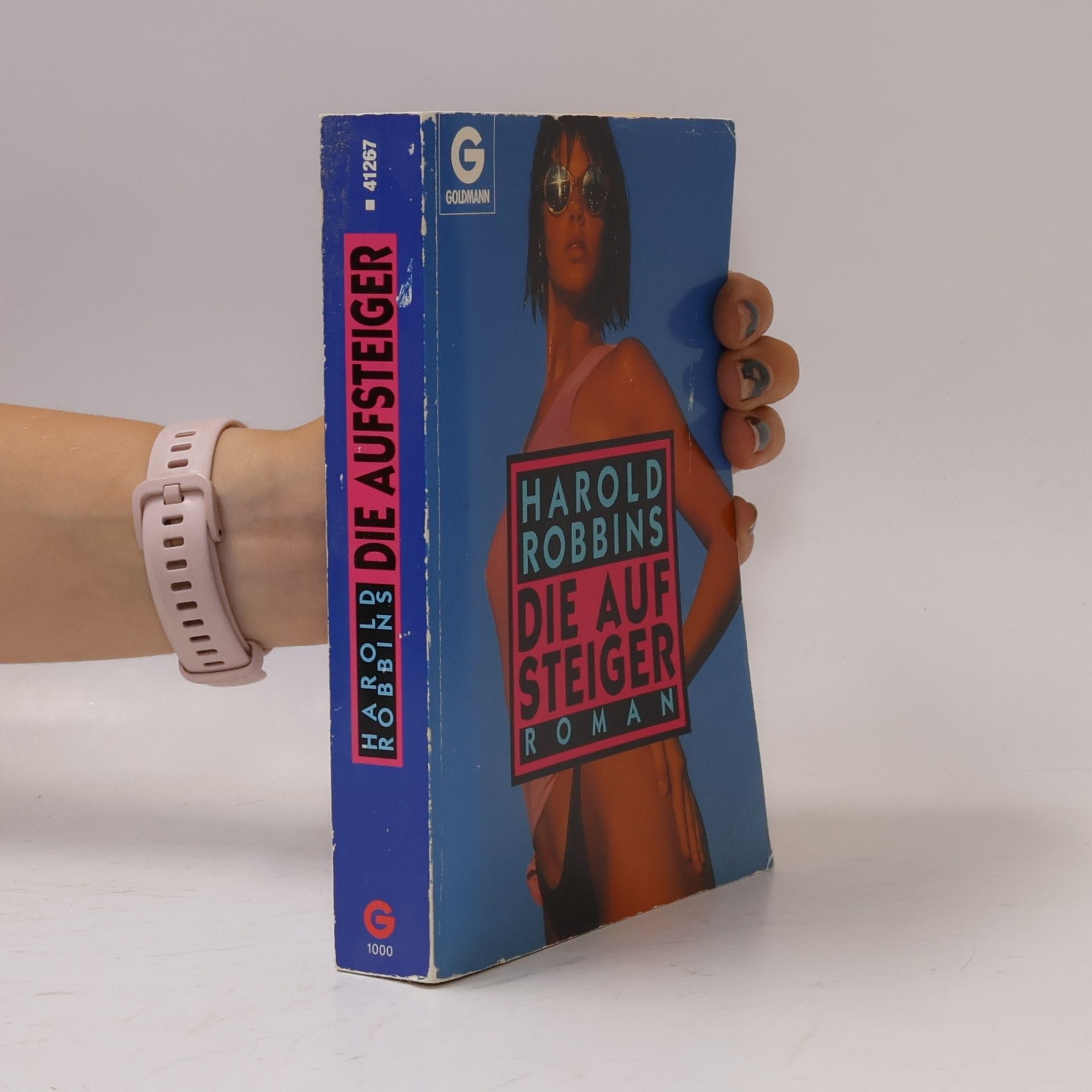 Harold Robbins Die Aufsteiger