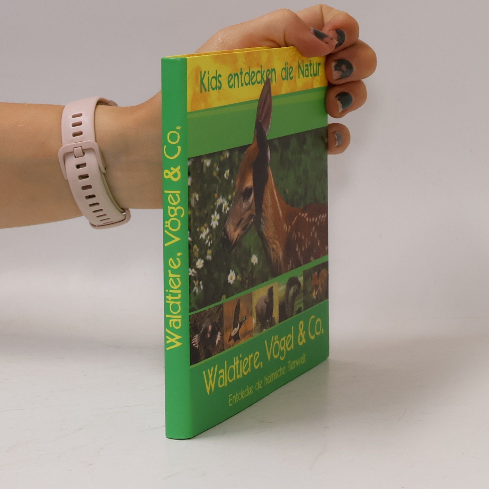 Kids entdecken die Natur: Waldtiere, Vögel & Co.