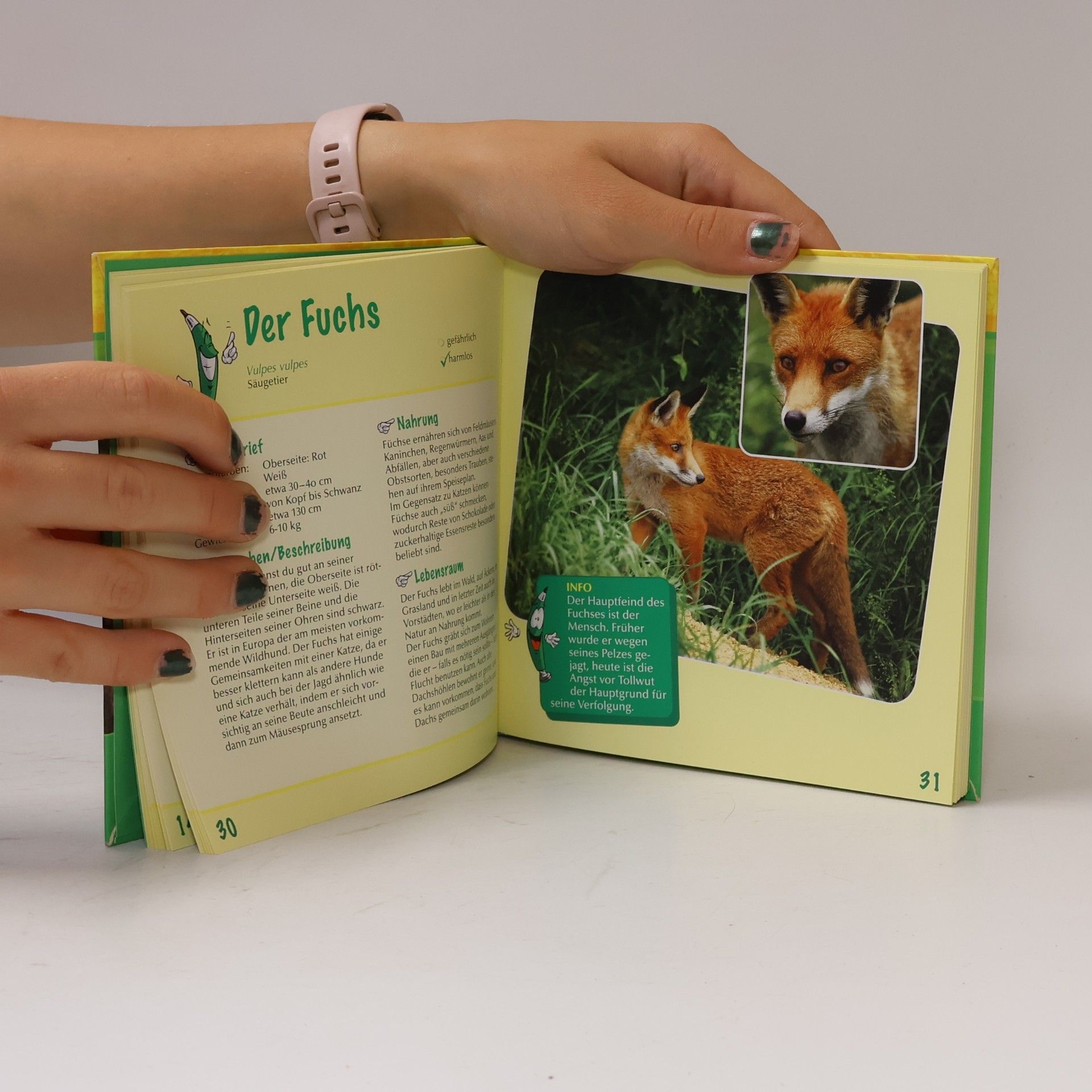 Kids entdecken die Natur: Waldtiere, Vögel & Co.
