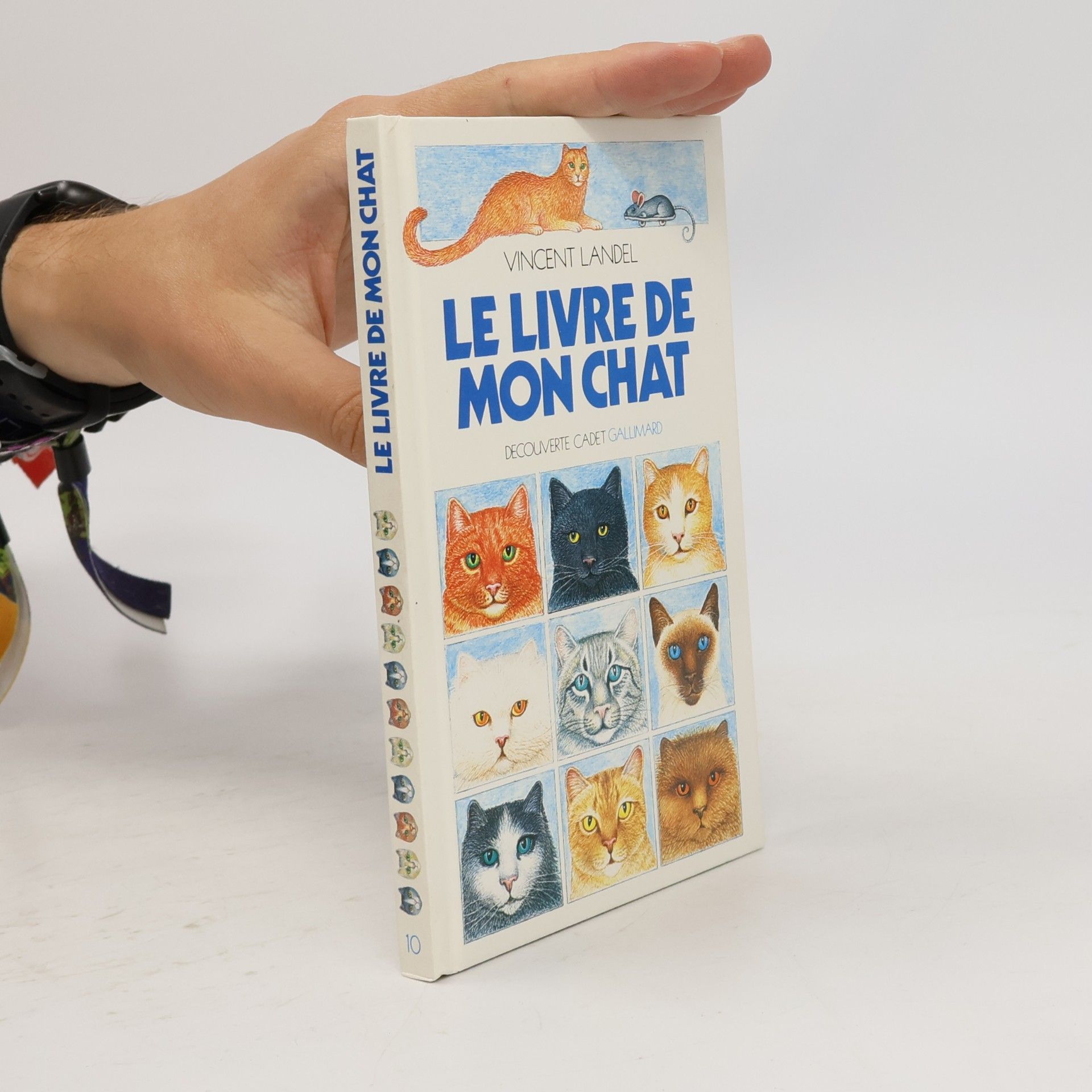 Vincent Landel Le Livre de mon chat