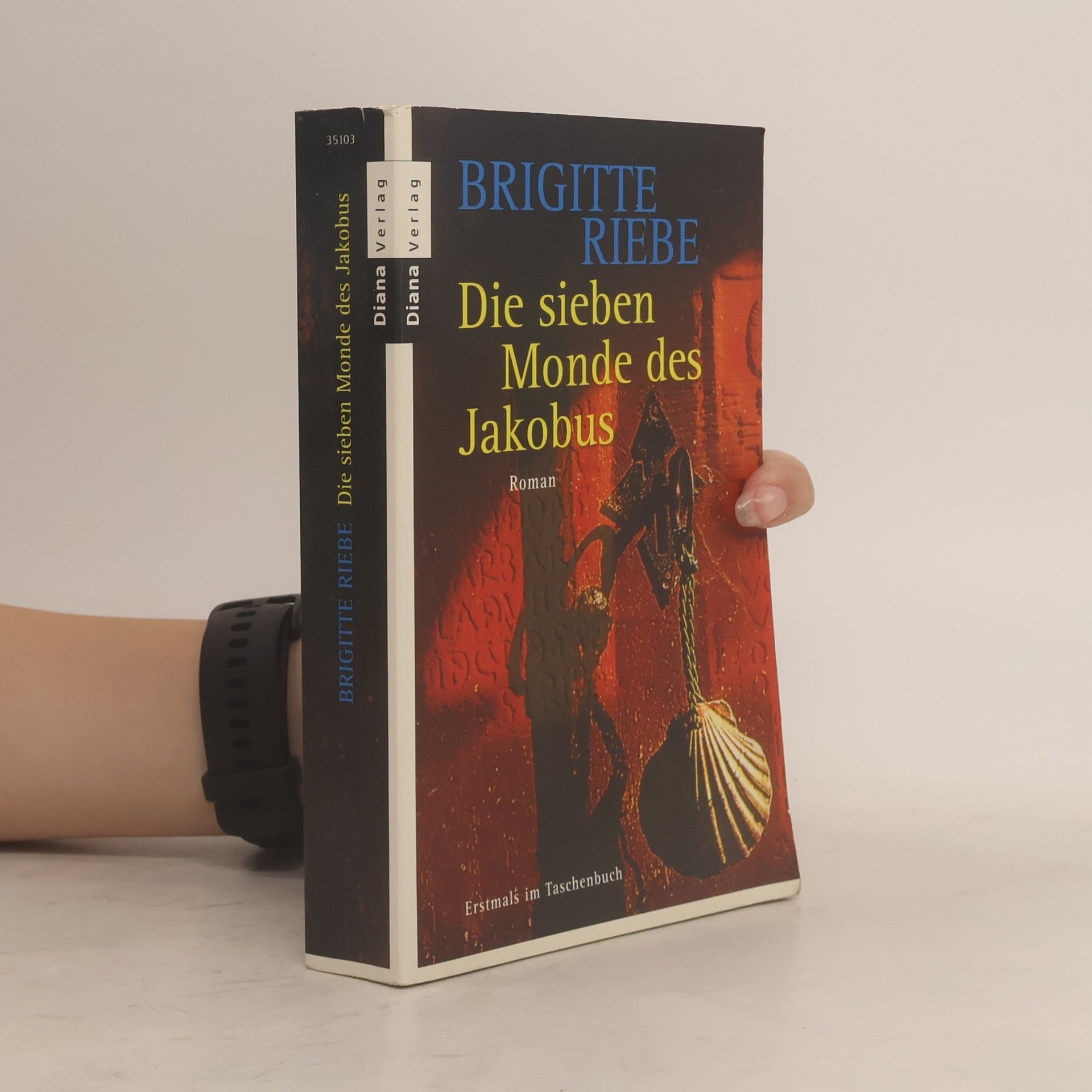 Brigitte Riebe Die sieben Monde des Jakobus