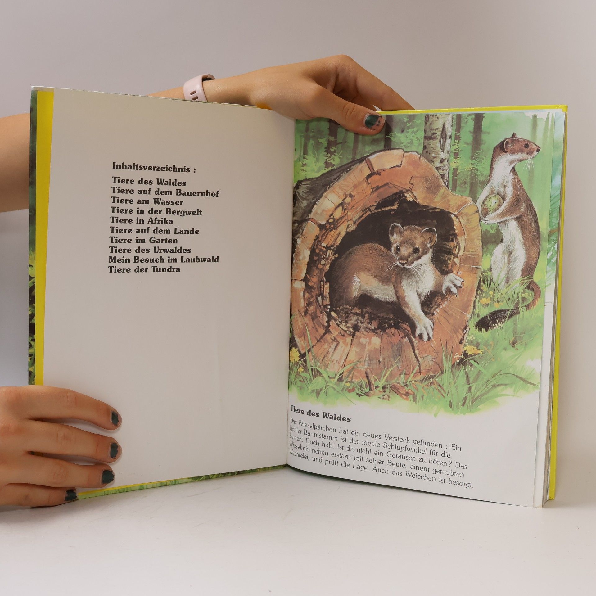 Autorenkollektiv Tiere aus aller Welt