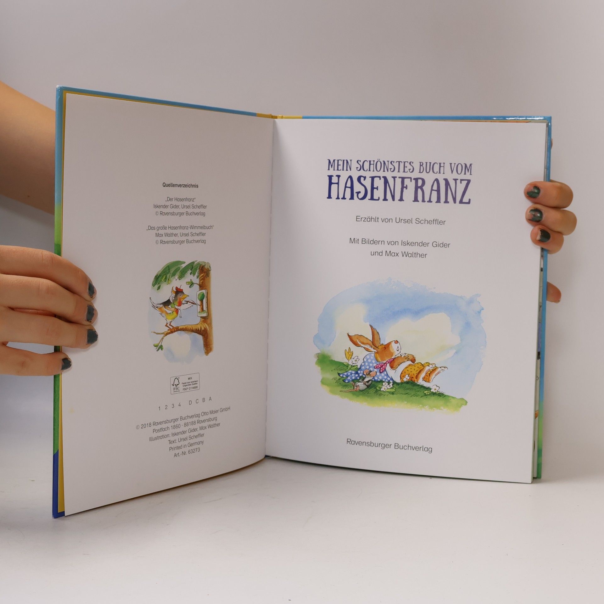 kolektiv Mein schönstes Buch vom Hasenfranz