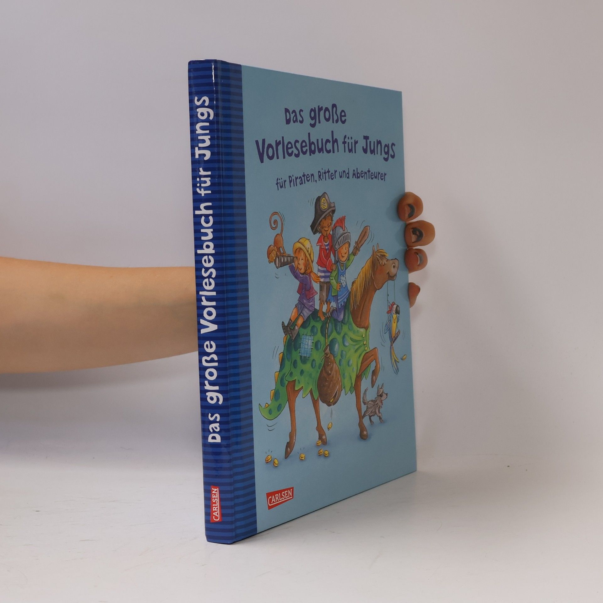 Autorenkollektiv Das große Vorlesebuch für Jungs