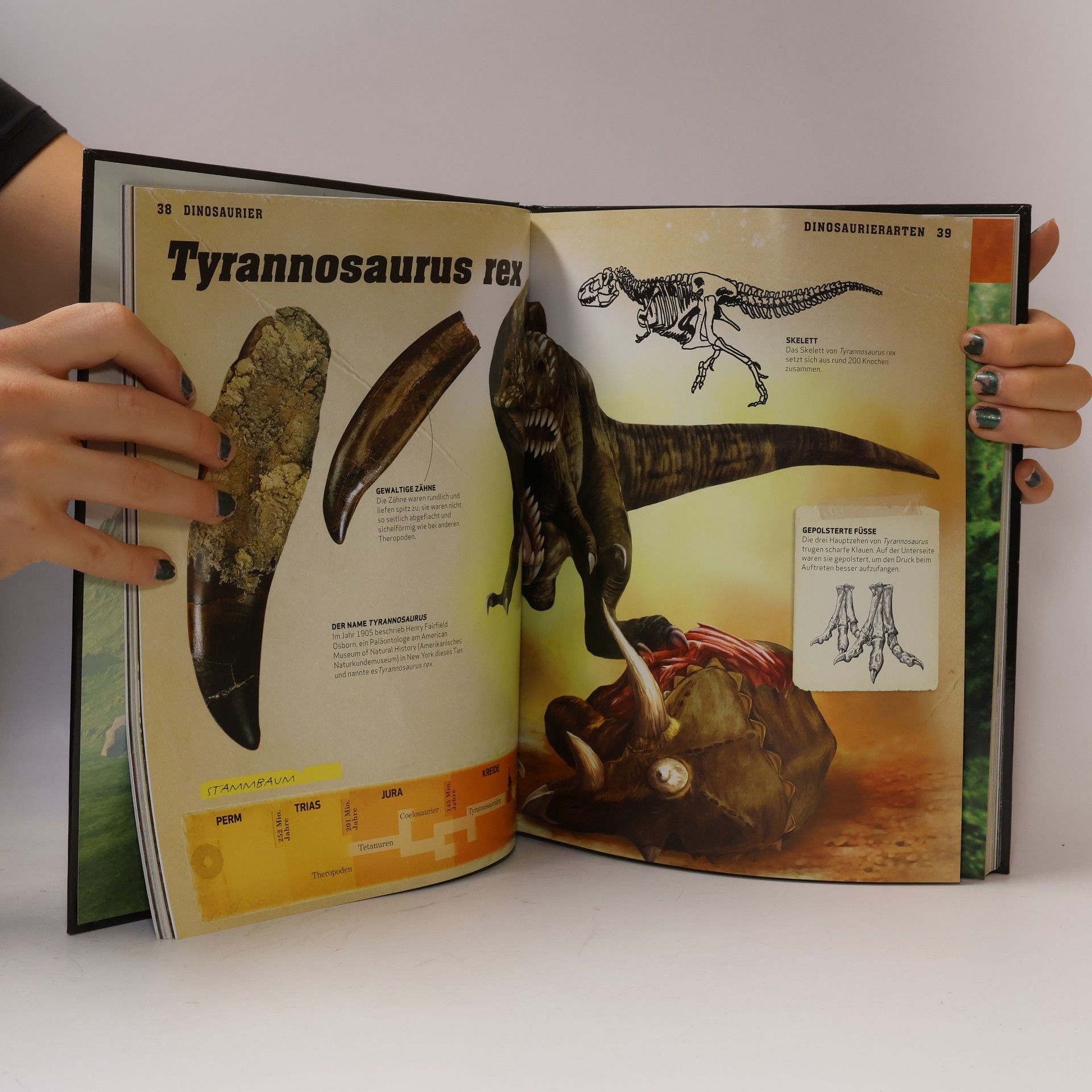 Dinosaurier
