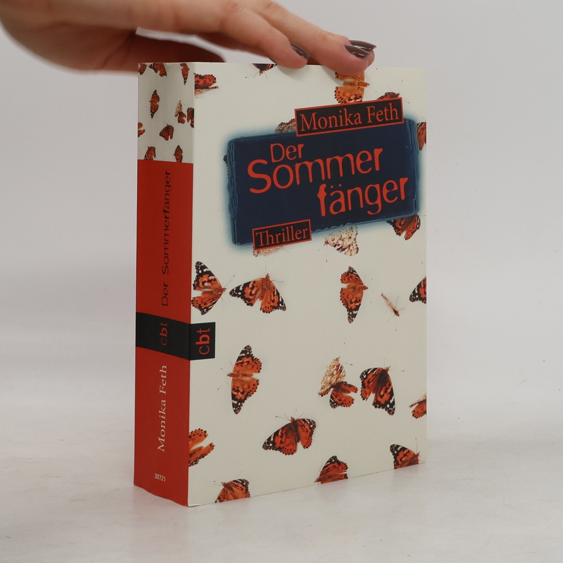 Monika Feth Der Sommerfänger