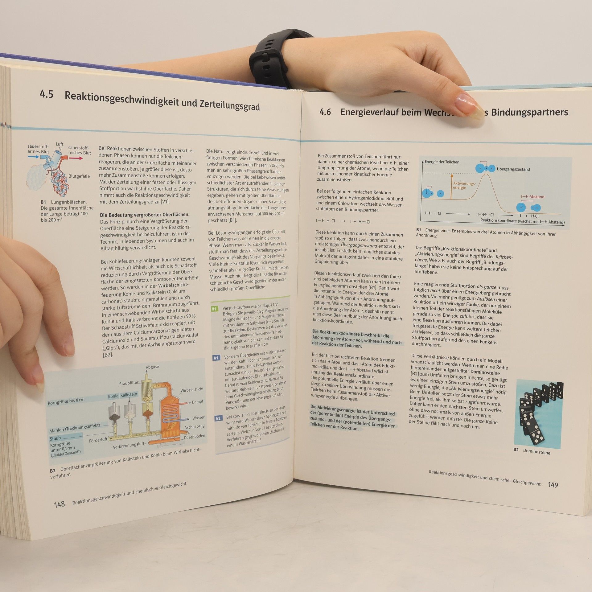 Elemente Chemie 11 | 12