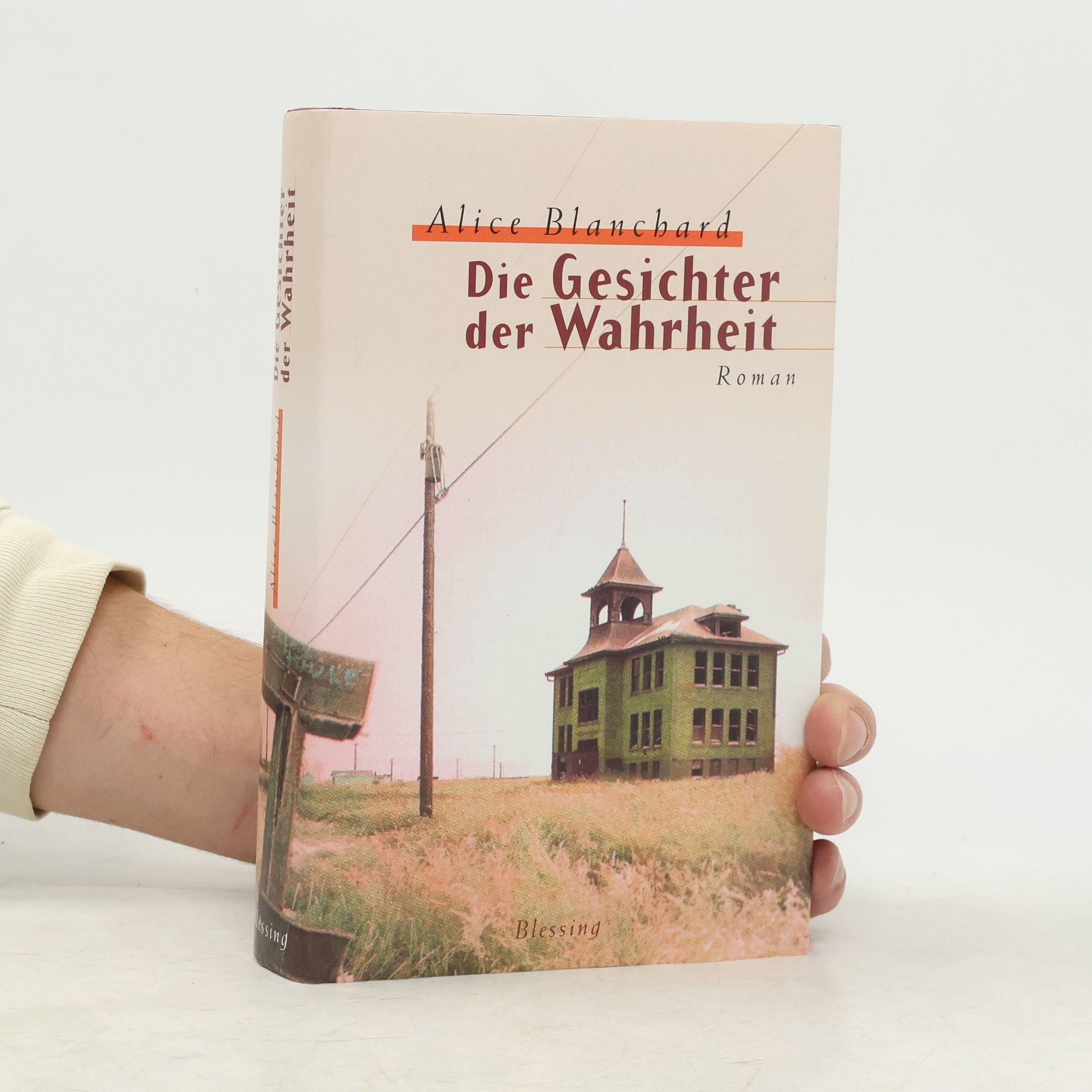 Alice Blanchard Die Gesichter der Wahrheit
