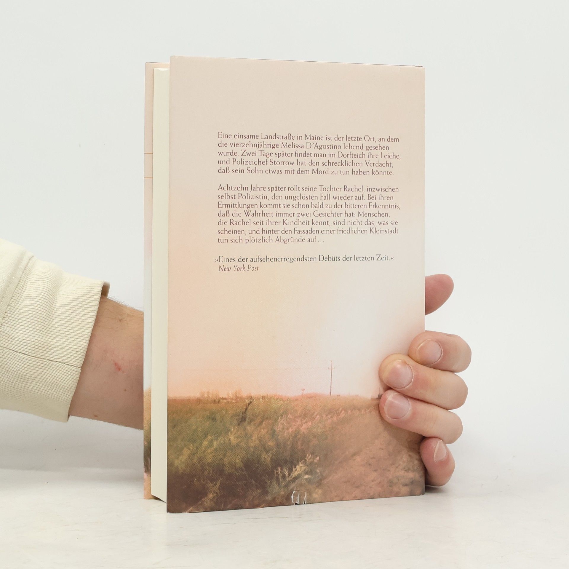Alice Blanchard Die Gesichter der Wahrheit