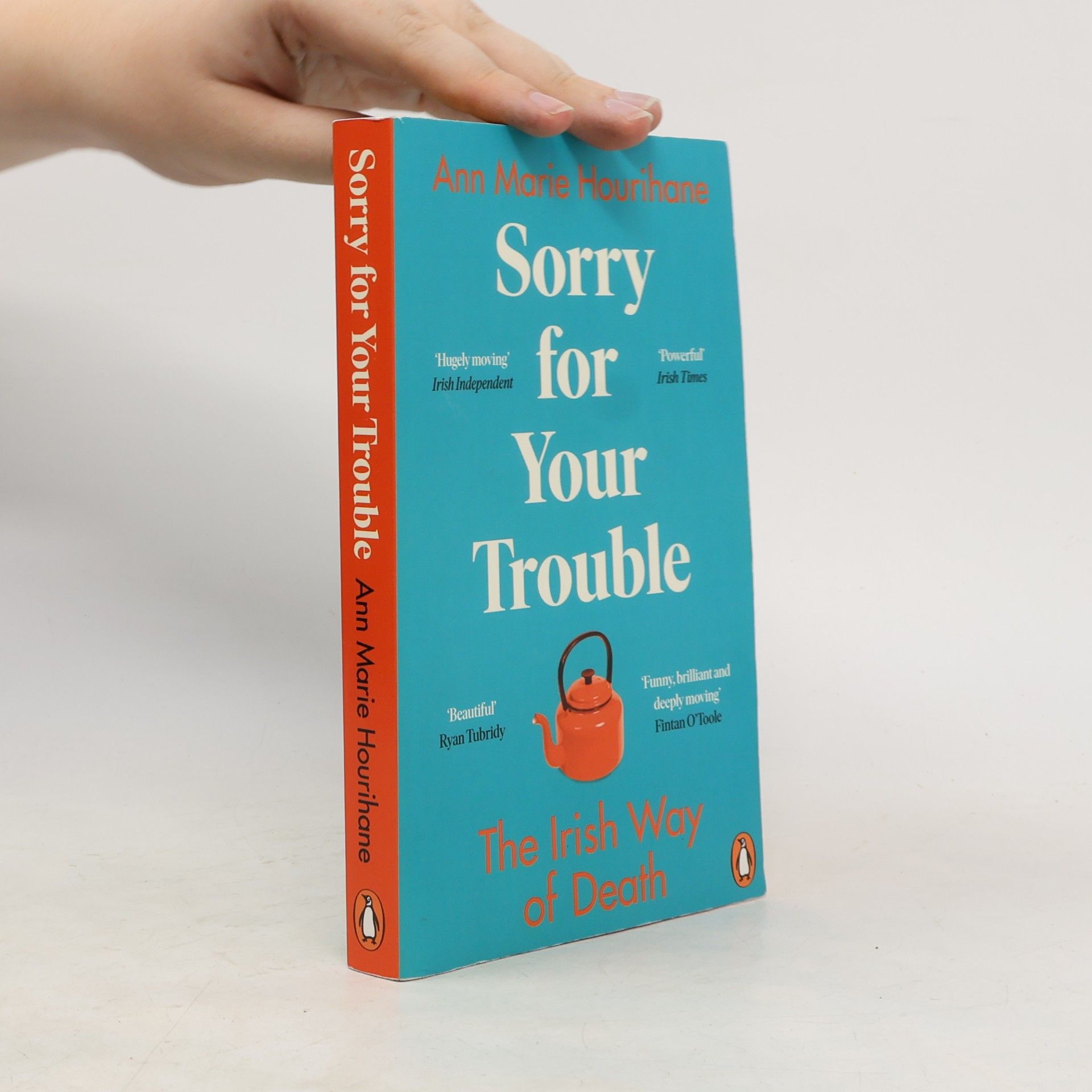 Ann Marie Hourihane Sorry for Your Trouble
