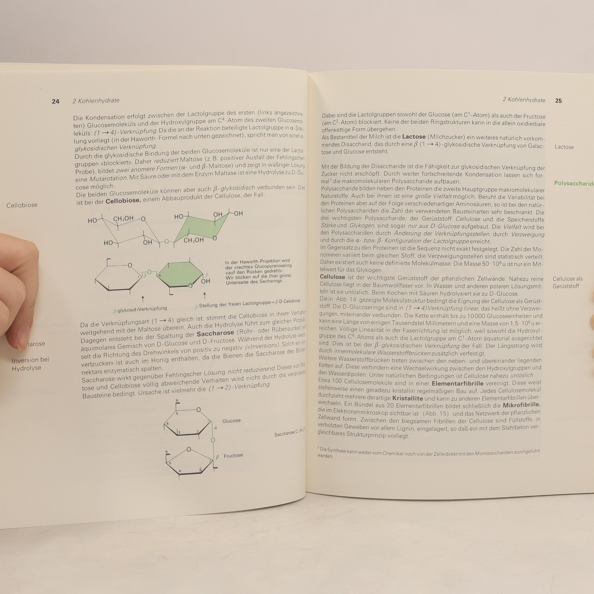 Kiechle Leistungskurs Biochemie