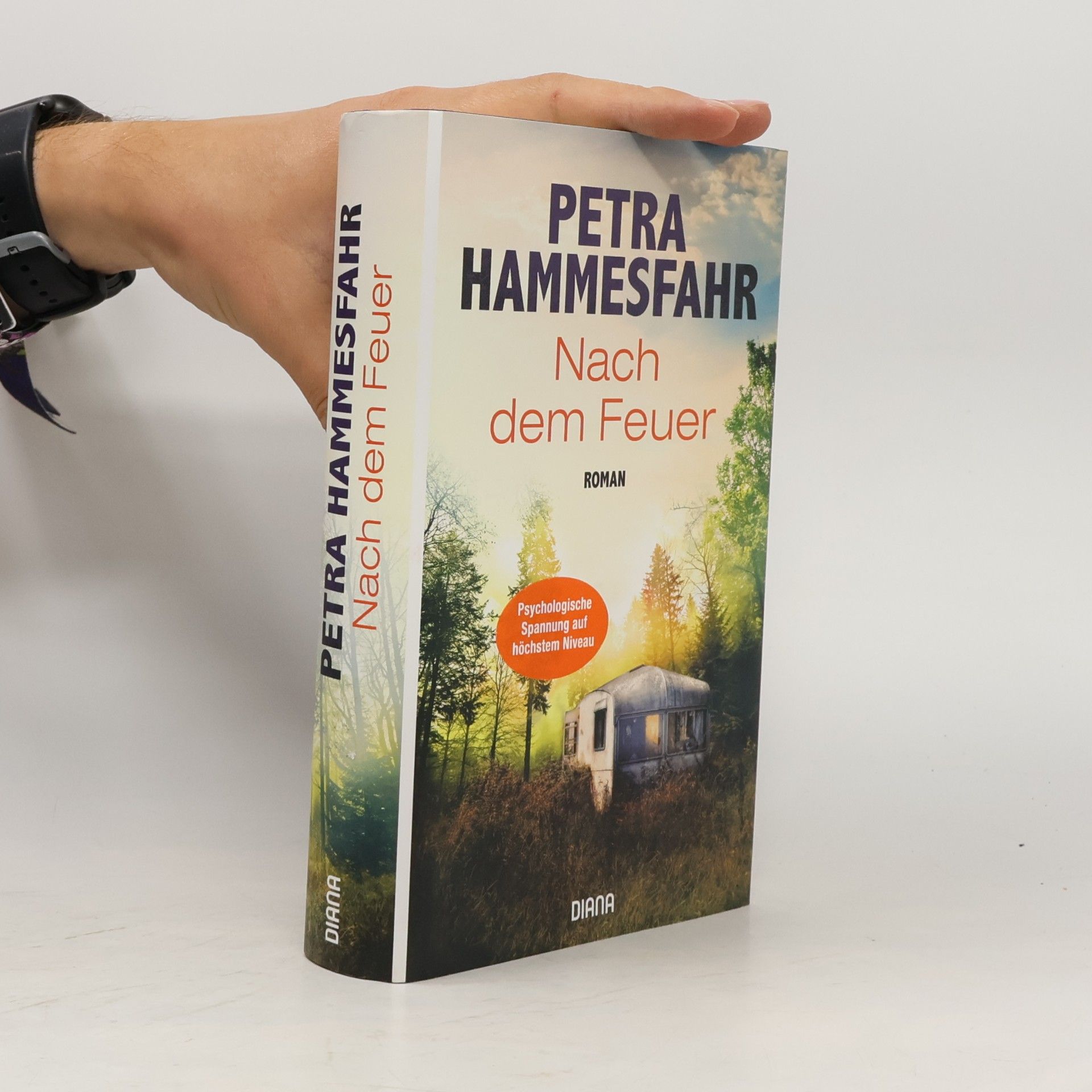 Petra Hammesfahr Nach dem Feuer
