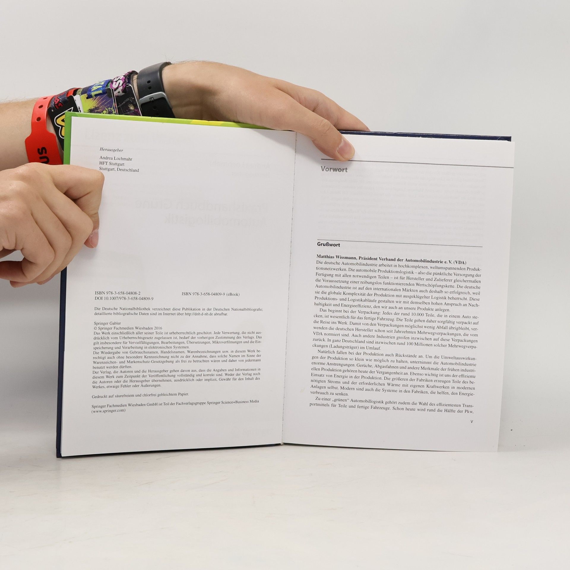Andrea Lochmahr Praxishandbuch Grüne Automobillogistik
