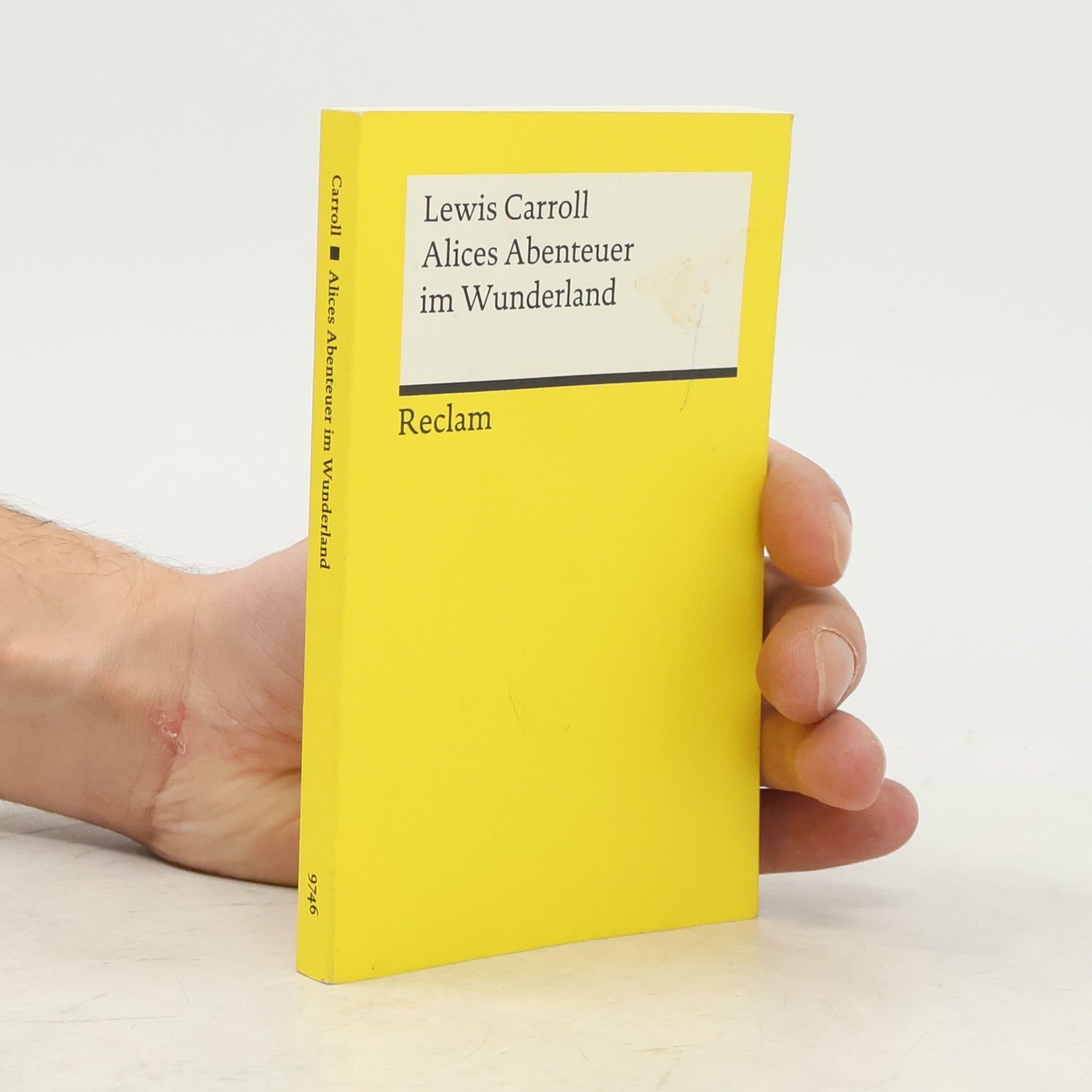 Lewis Carroll Alices Abenteuer im Wunderland