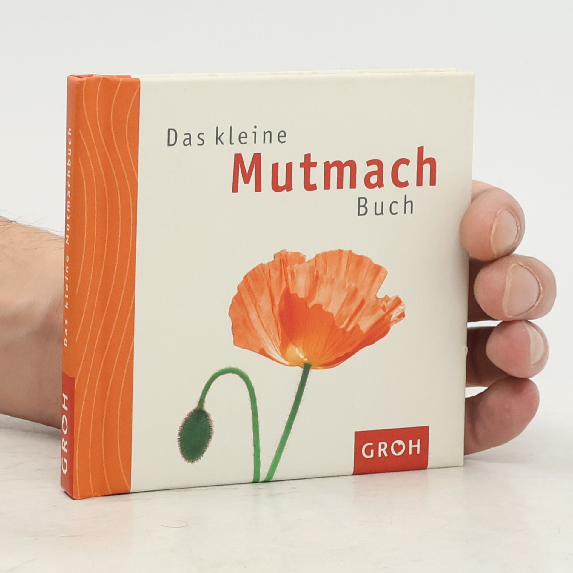 Celeste Marin Das kleine Mutmach-Buch