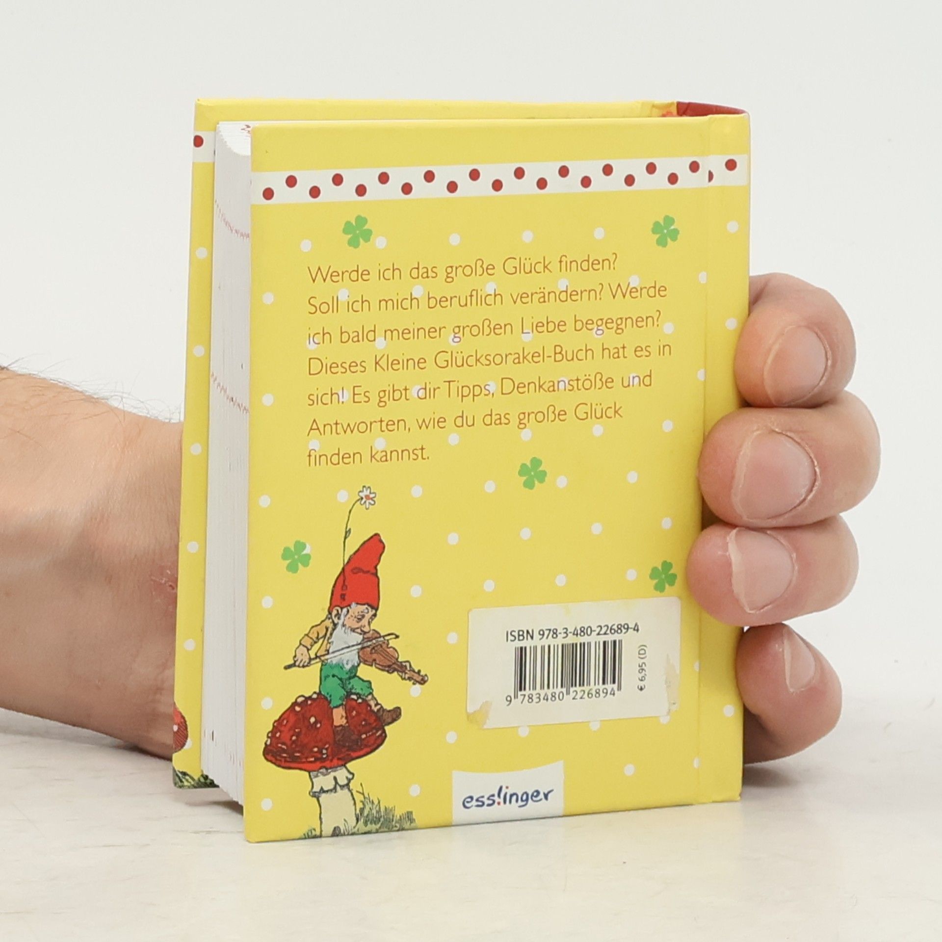 Das kleine Glücksorakel-Buch