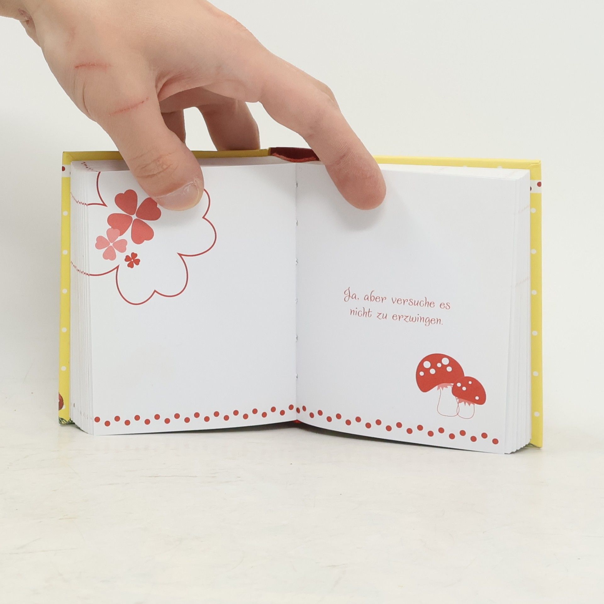 Das kleine Glücksorakel-Buch