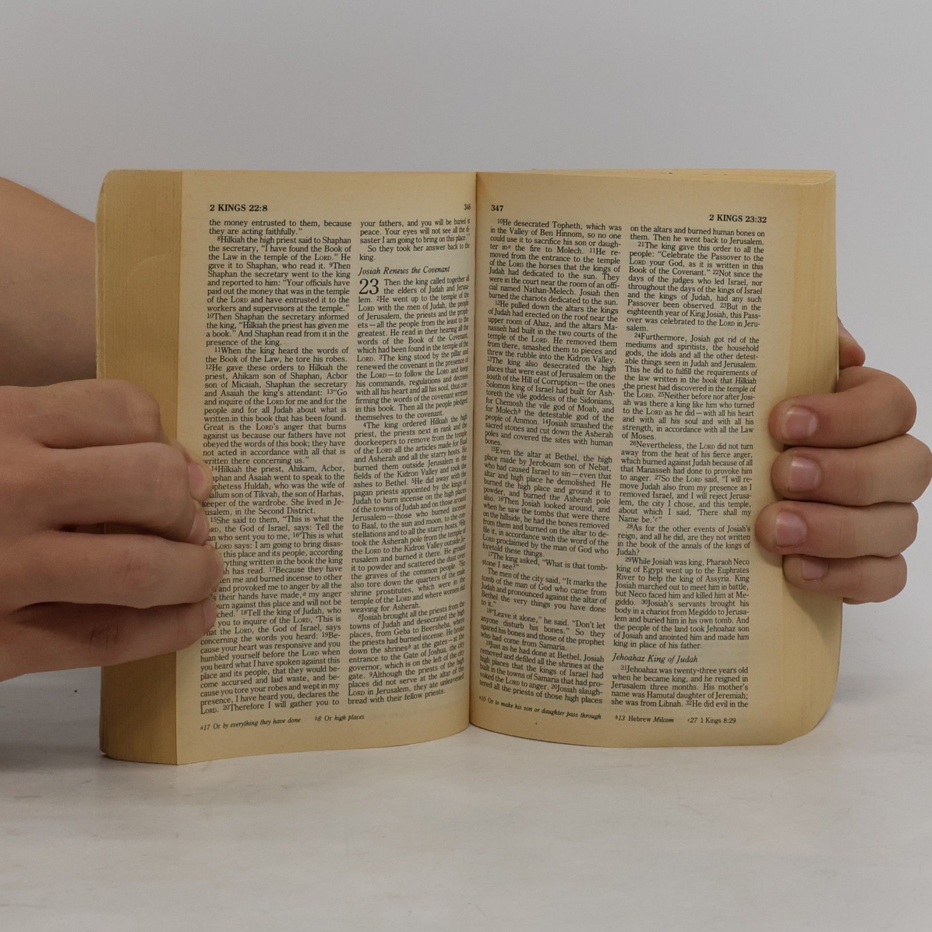 Anonymous Holy Bible