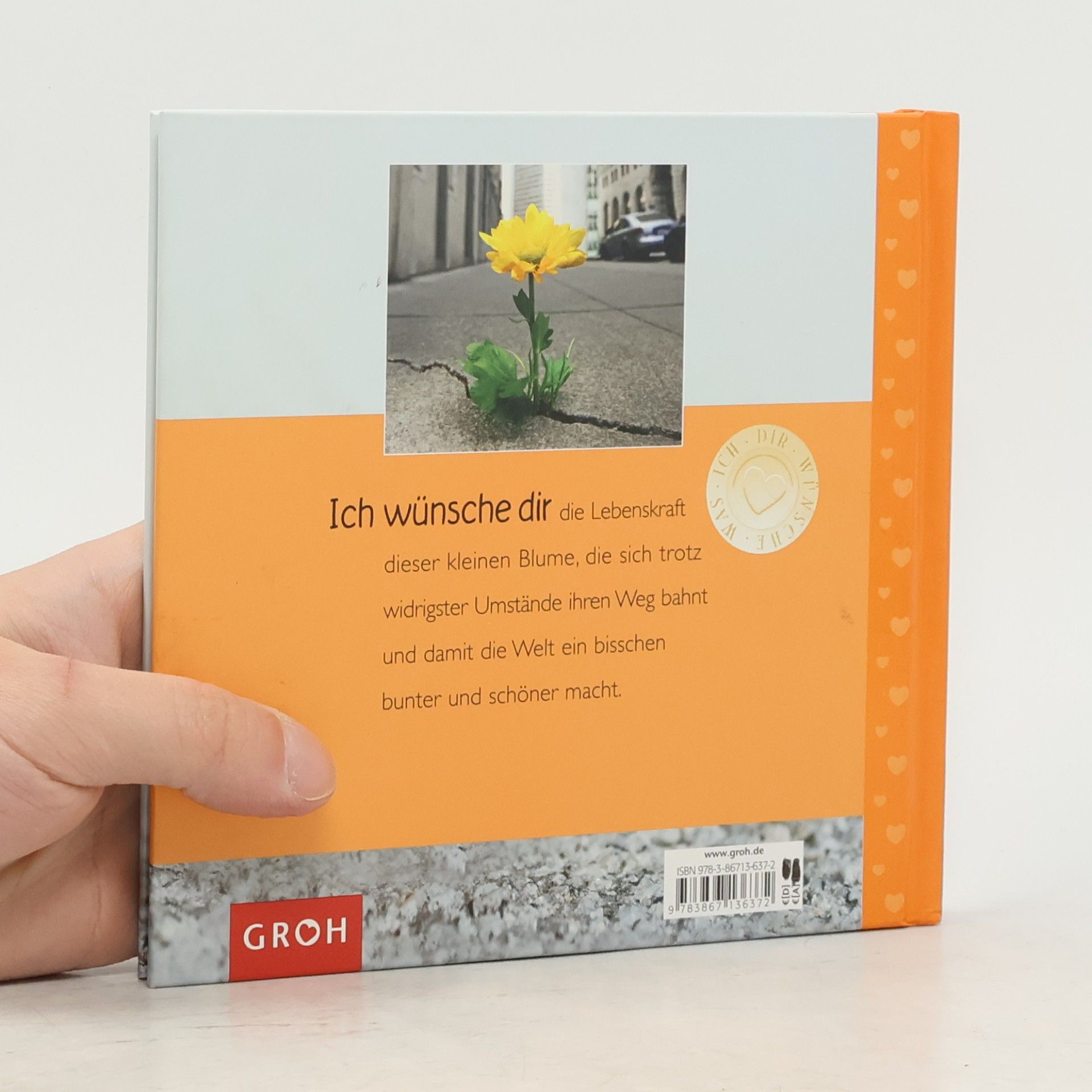 Ellen Sonntag Was ich dir wünsche, viel Kraft
