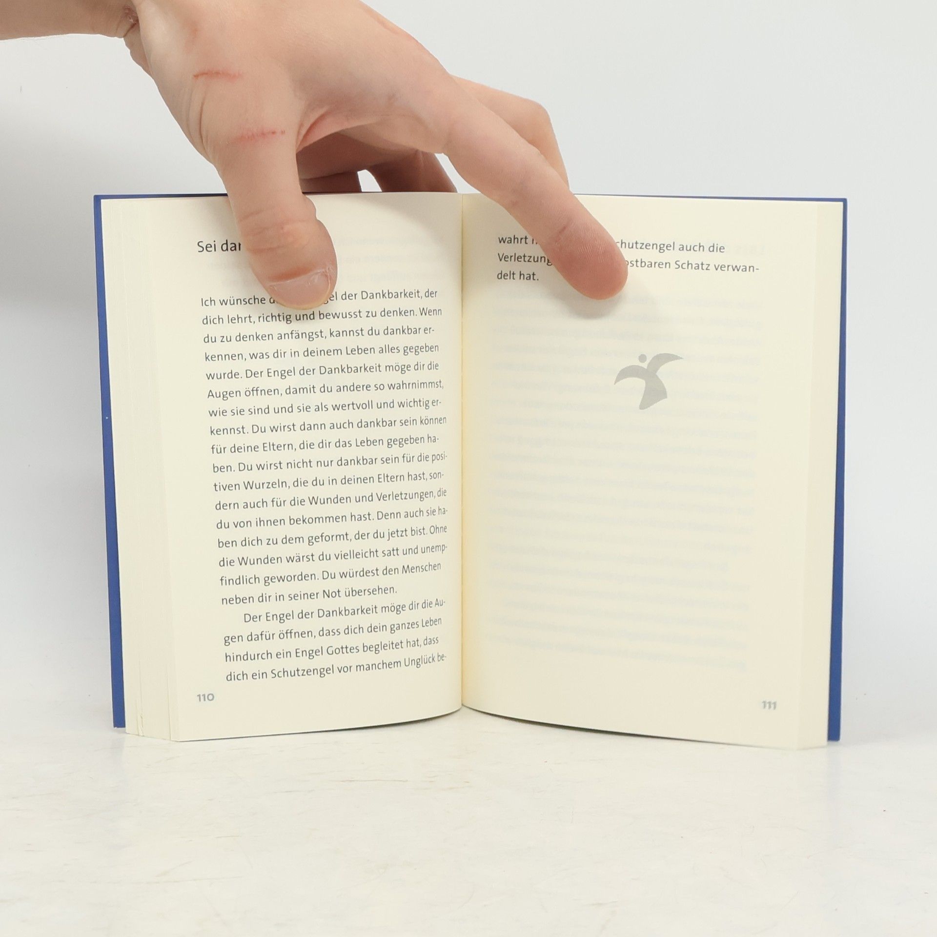 Anselm Grün Das kleine Buch der Engel