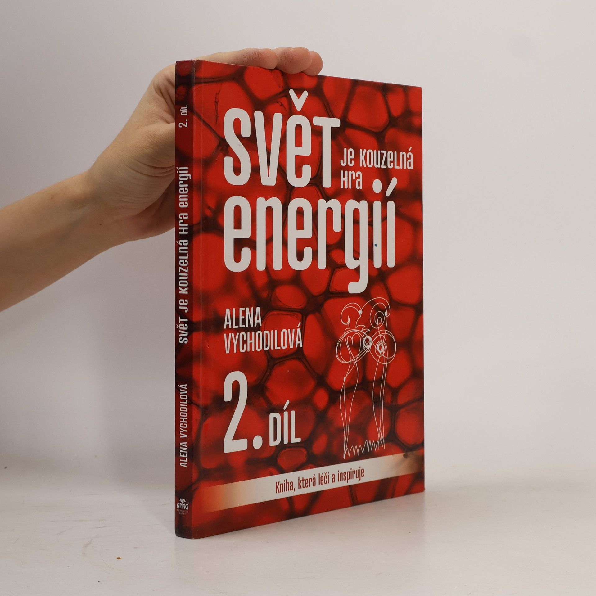 Svět je kouzelná hra energií : kniha, která léčí a inspiruje. 2. díl