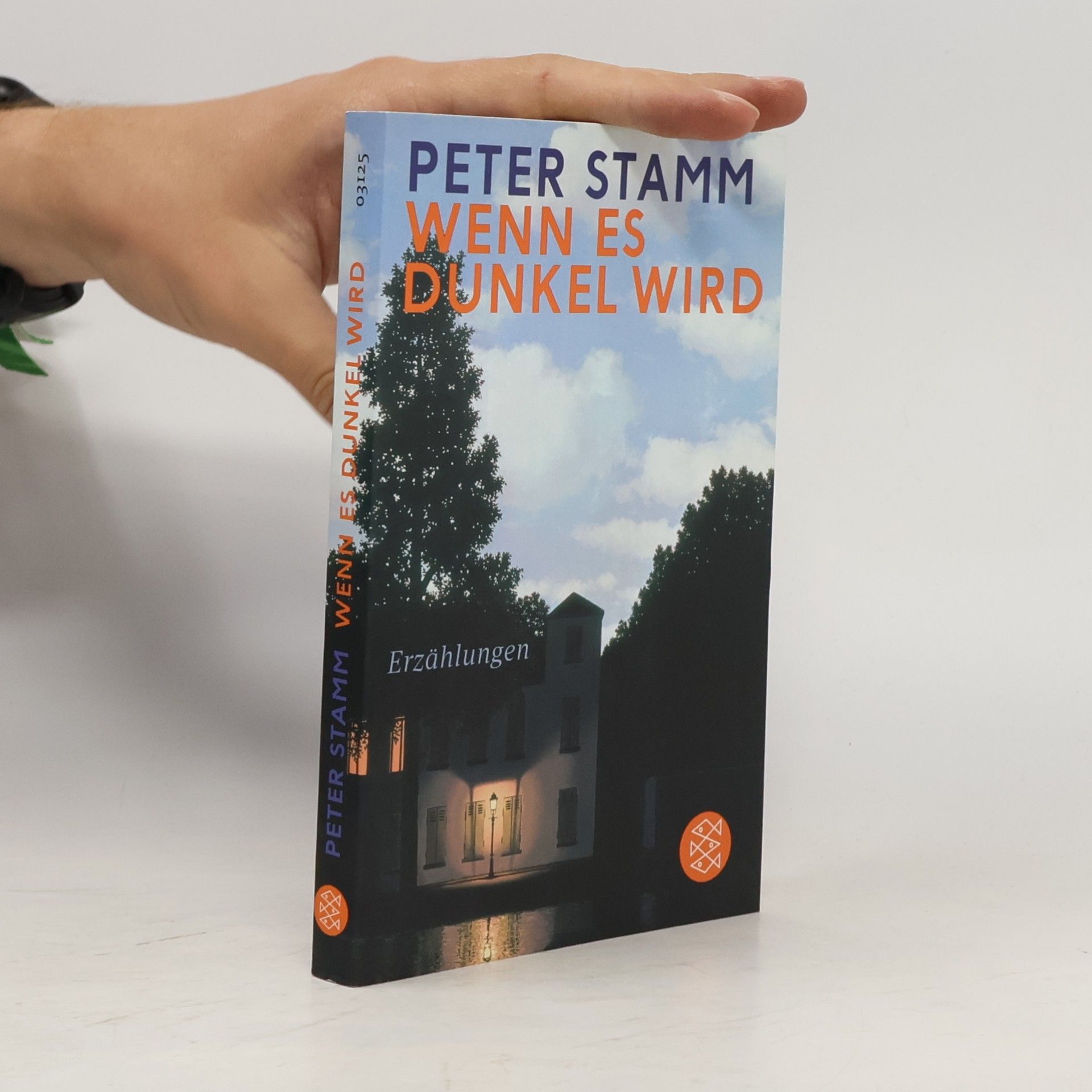 Peter Stamm Wenn es dunkel wird