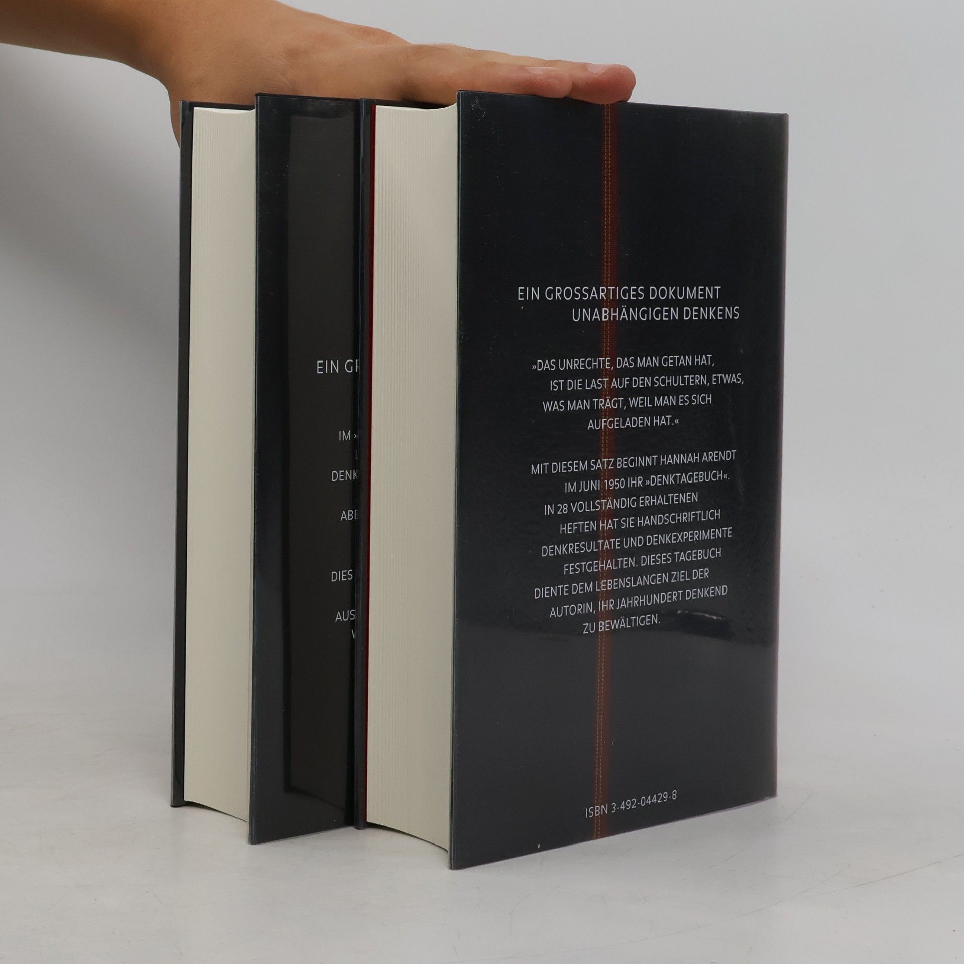 Hannah Arendt Denktagebuch