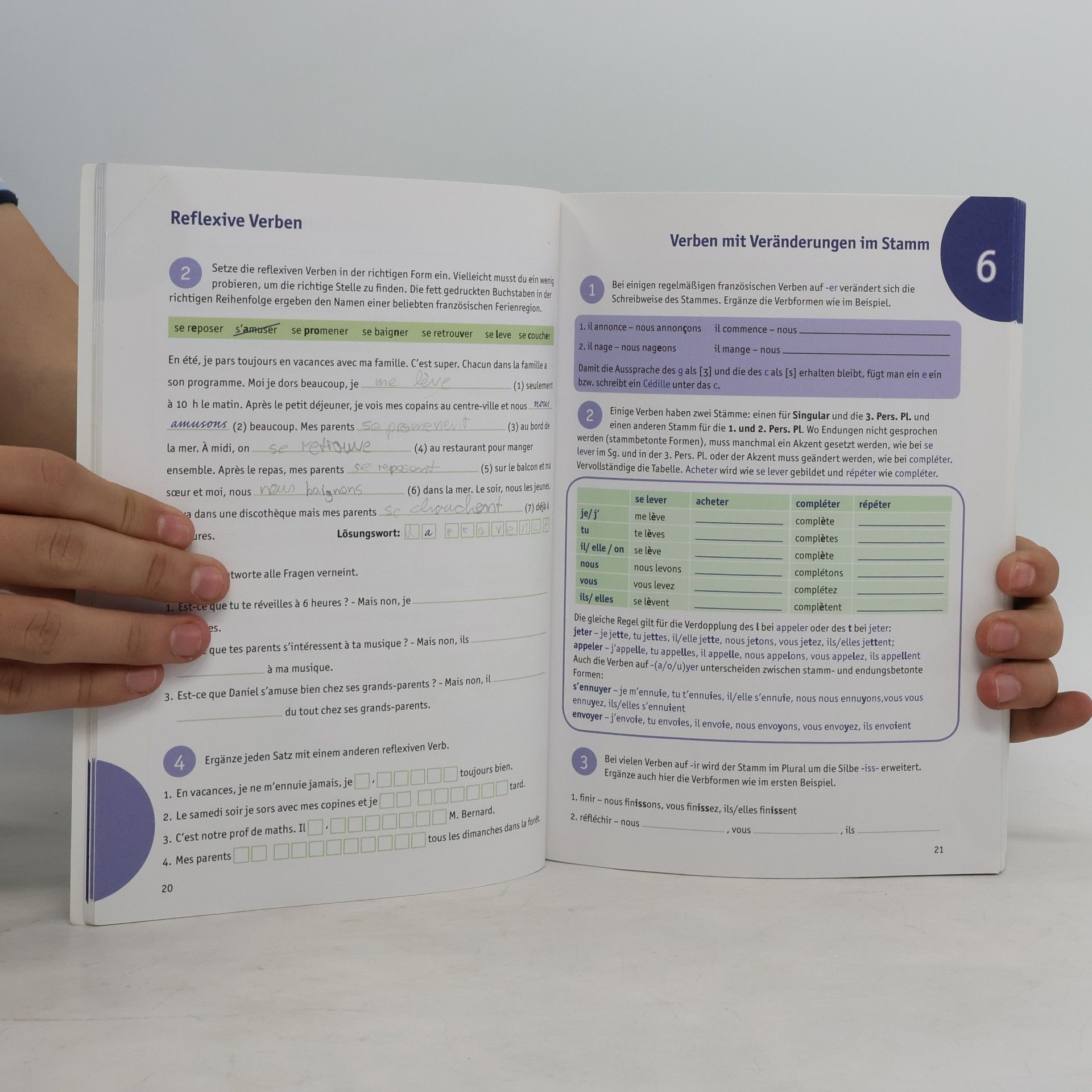 Wolfang Oestreicher Grammatik-Training. Französisch