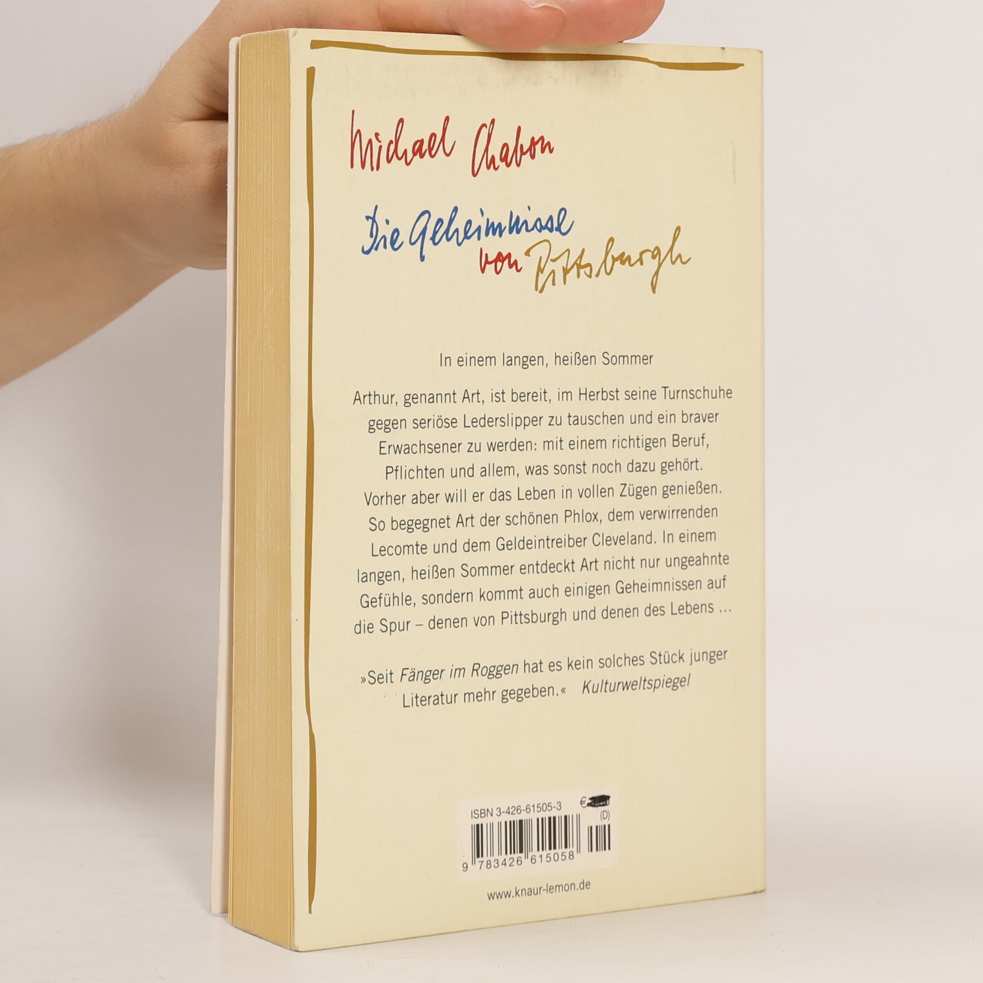 Michael Chabon Die Geheimnisse von Pittsburgh