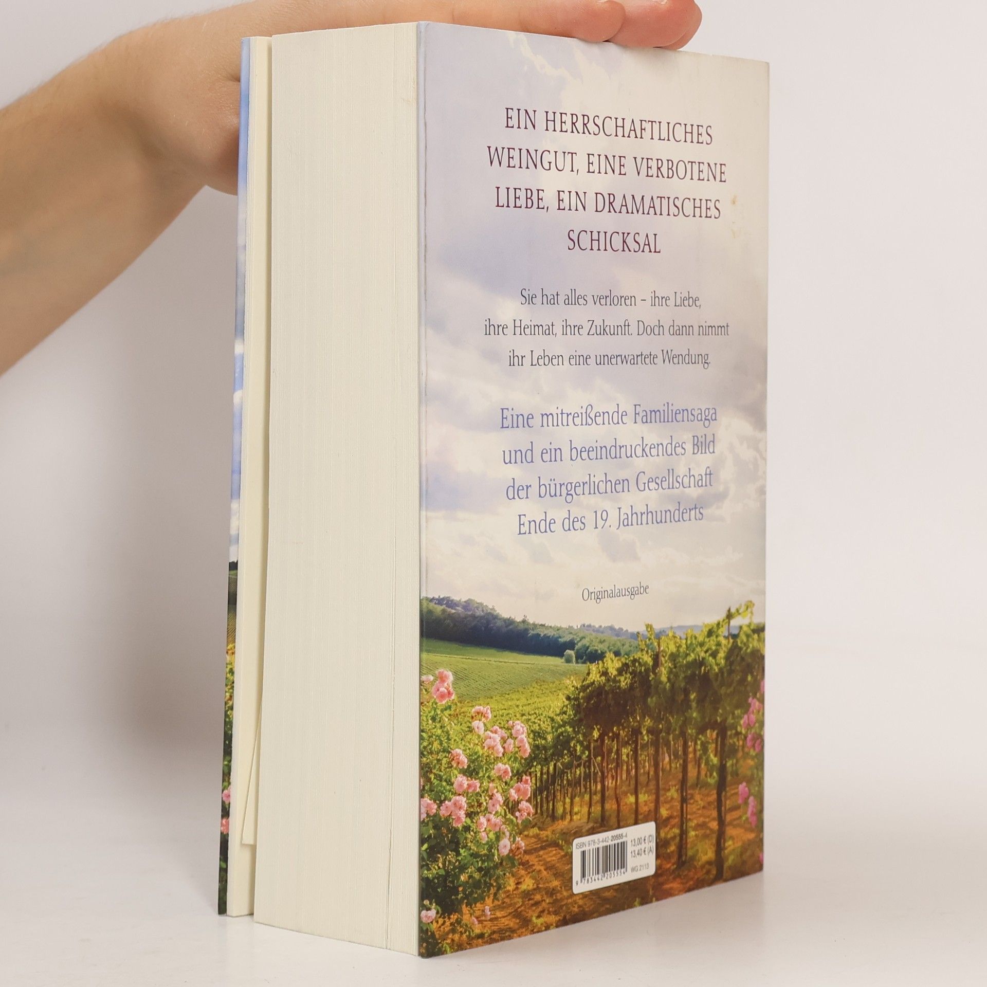 Marie Lacrosse Das Weingut - Aufbruch in ein neues Leben