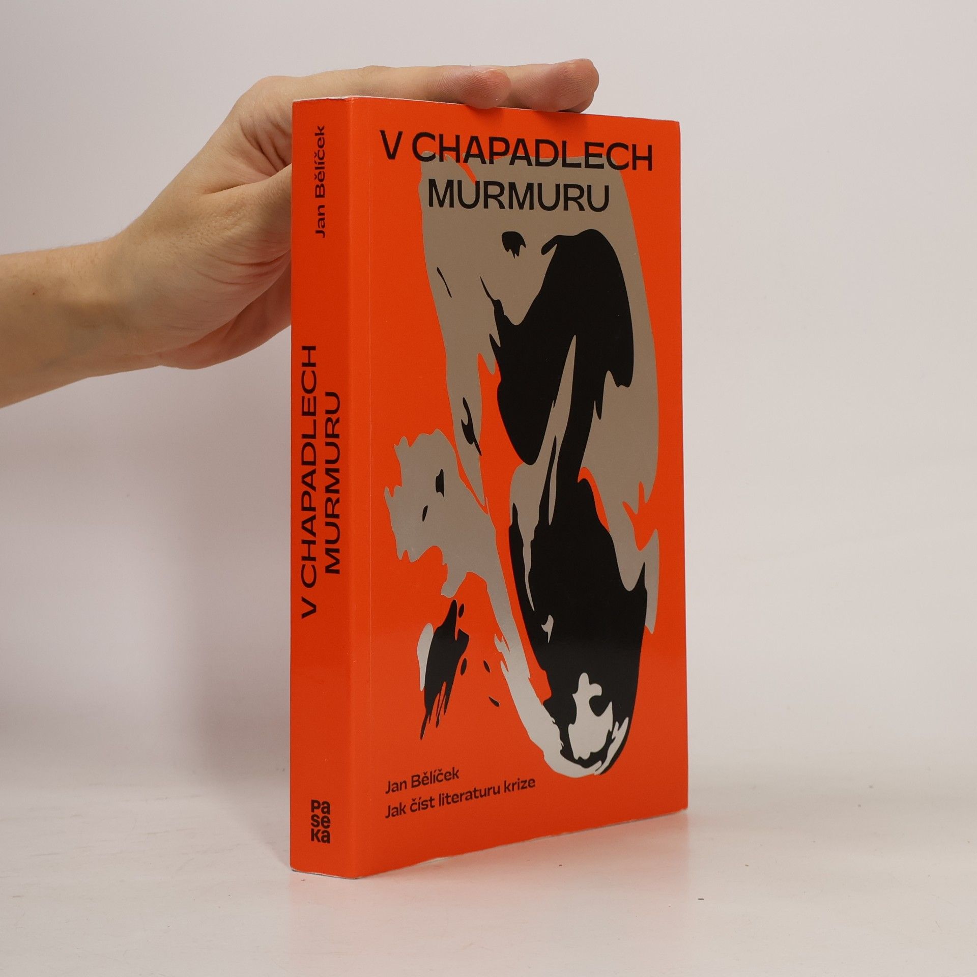Jan Bělíček V chapadlech murmuru : jak číst literaturu krize