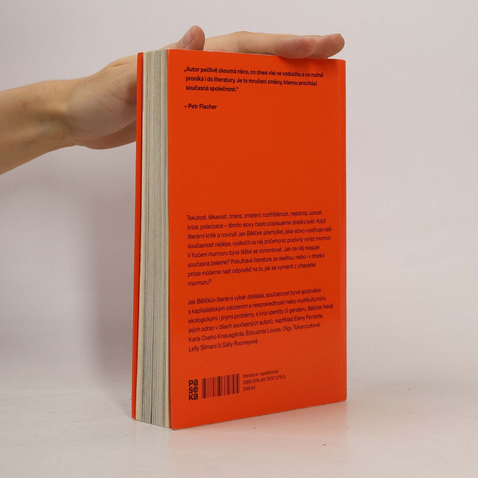 Jan Bělíček V chapadlech murmuru : jak číst literaturu krize