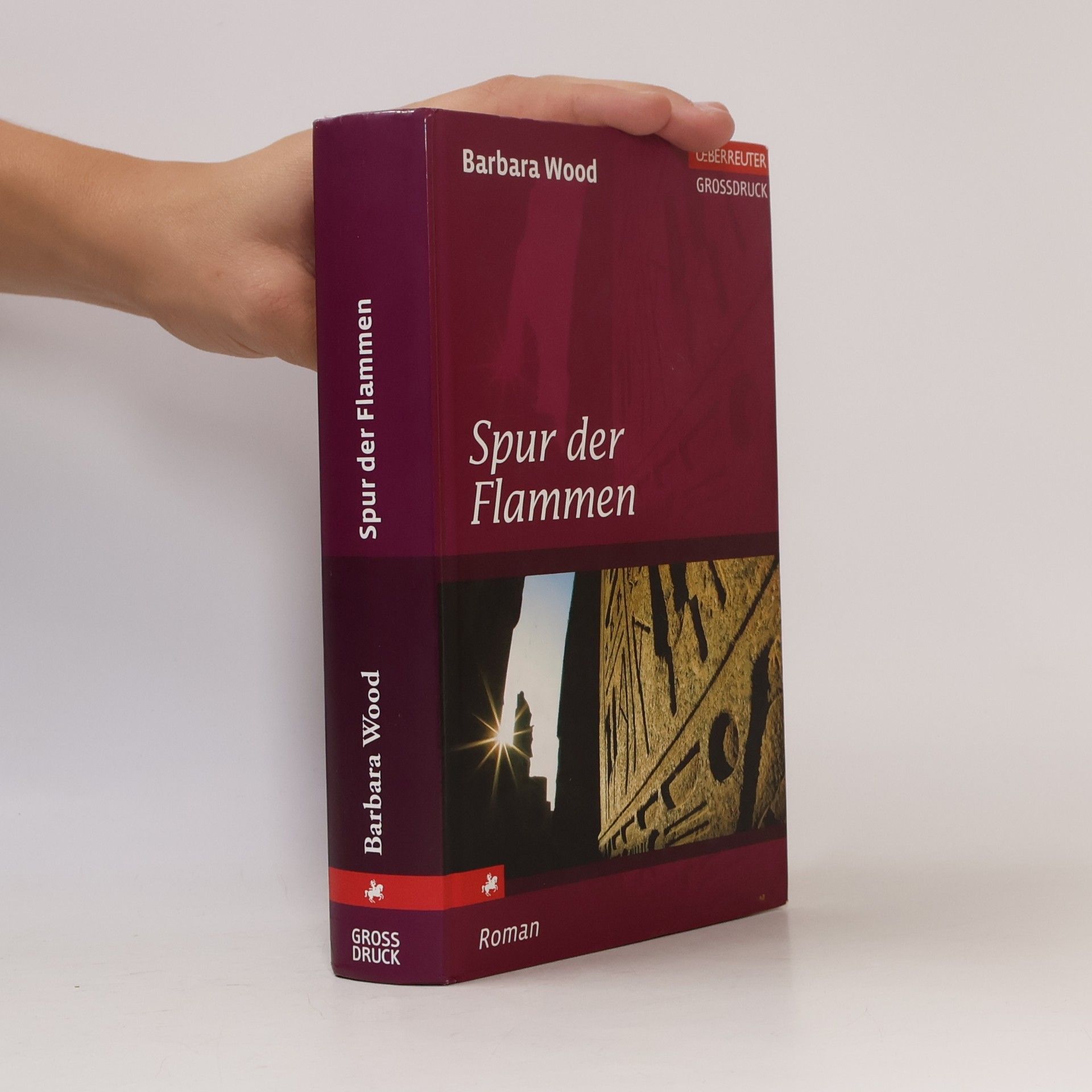 Barbara Wood Spur der Flammen