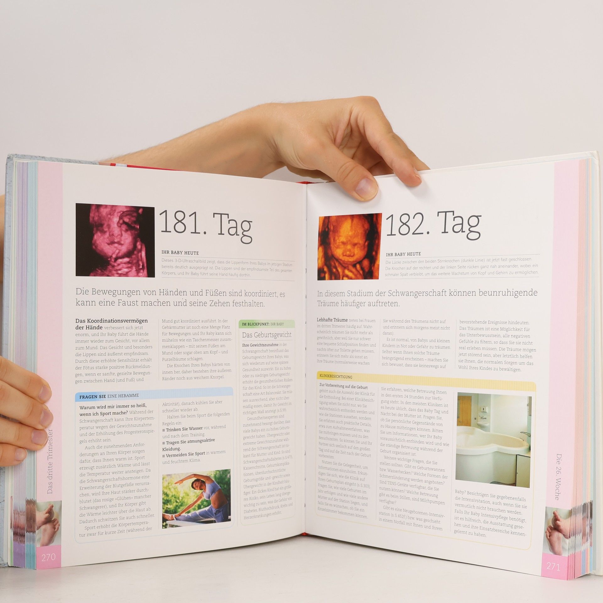 Maggie Dr. Blott Alles über meine Schwangerschaft, Tag für Tag