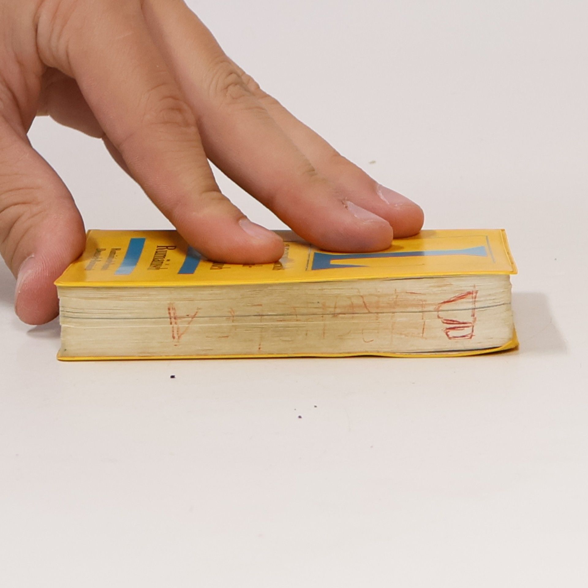 Ernst Erwin Lange-Kowal Langenscheidts Universal-Wörterbuch Rumänisch