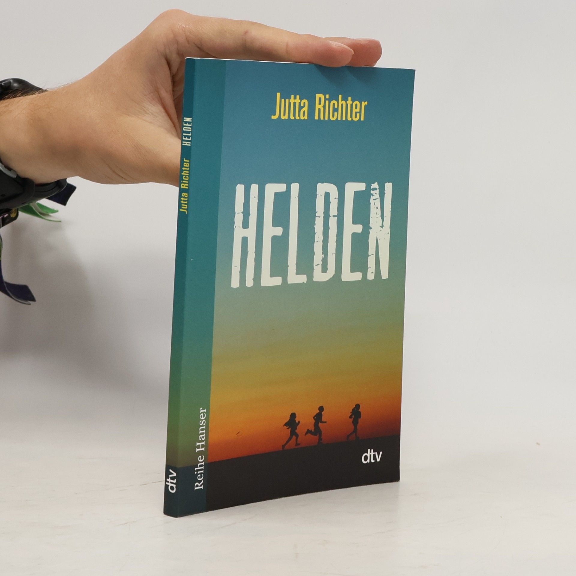 Jutta Richter Reihe Hanser: Helden