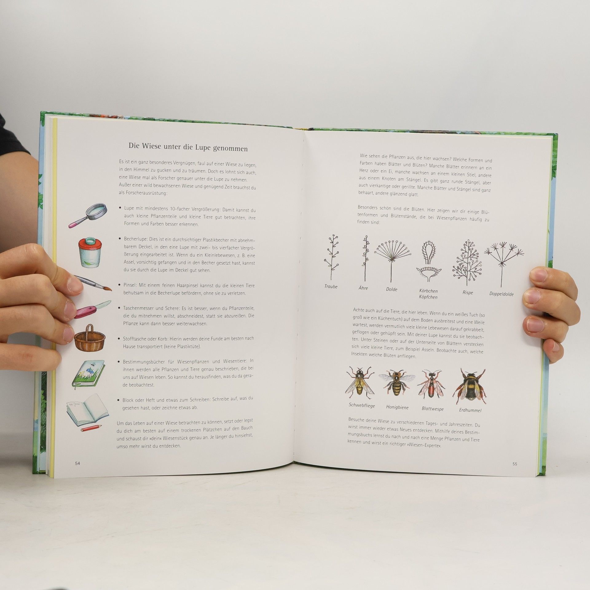 Marion Clausen Das große Hausbuch der Natur