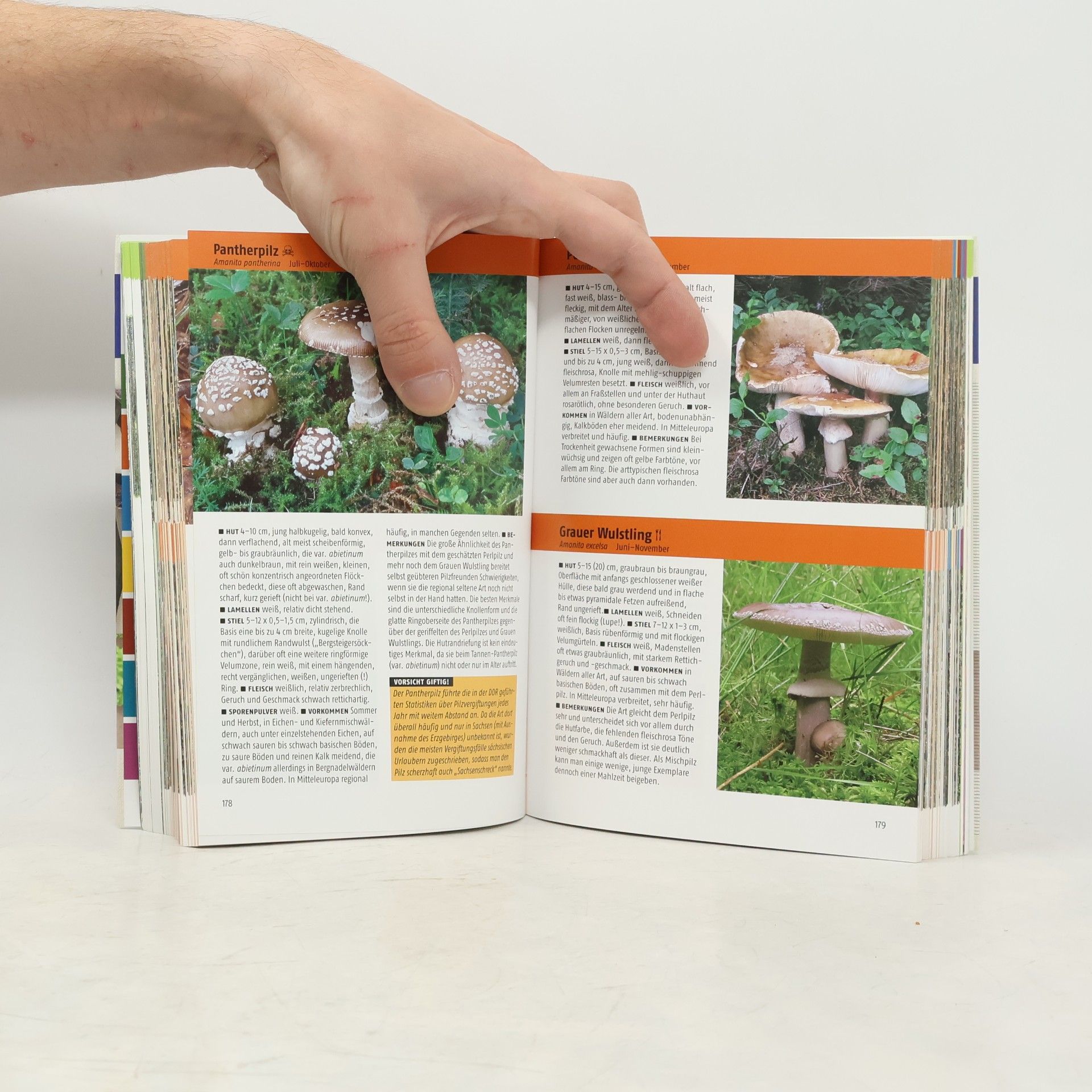 Andreas Gminder Handbuch für Pilzsammler