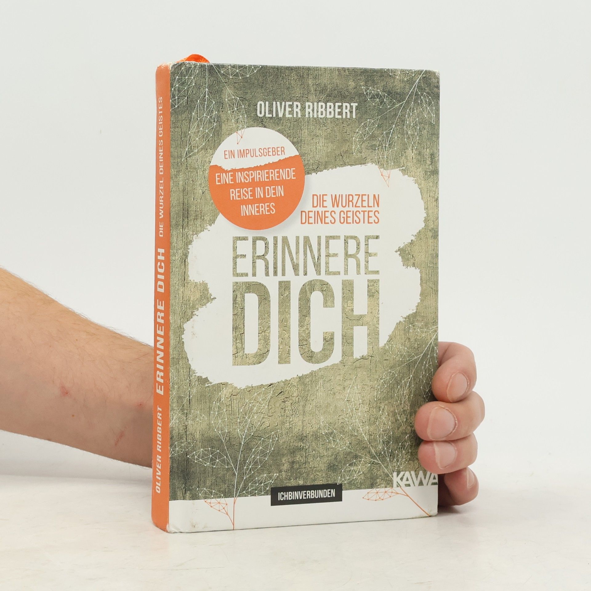 Oliver Ribbert SOUL WAVES – das Selbstliebe-Tagebuch | Selbstliebe lernen, Blockierungen auflösen | Übungsbuch für 12 Wochen | Ritual für morgens und abends mit 12 Wochenaufgaben
