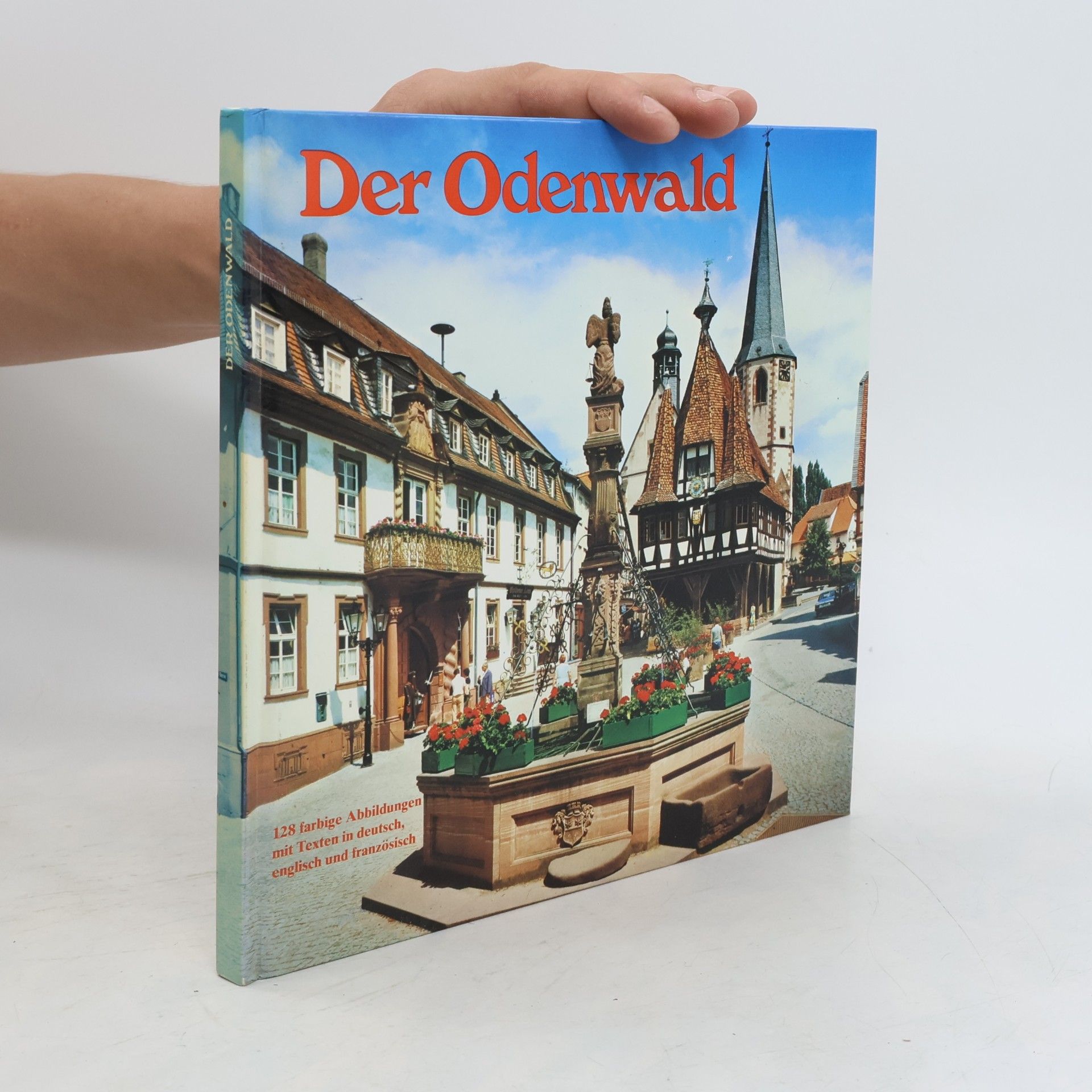 Walter Albach Der Odenwald