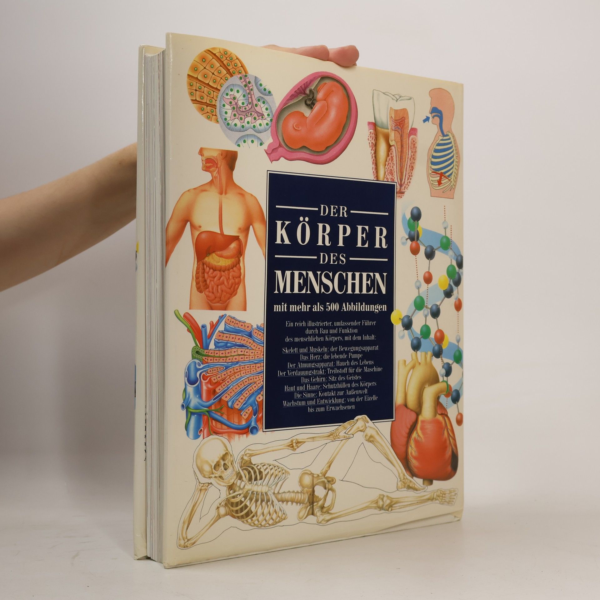 Klaus-Ulrich Wermann Der Körper des Menschen