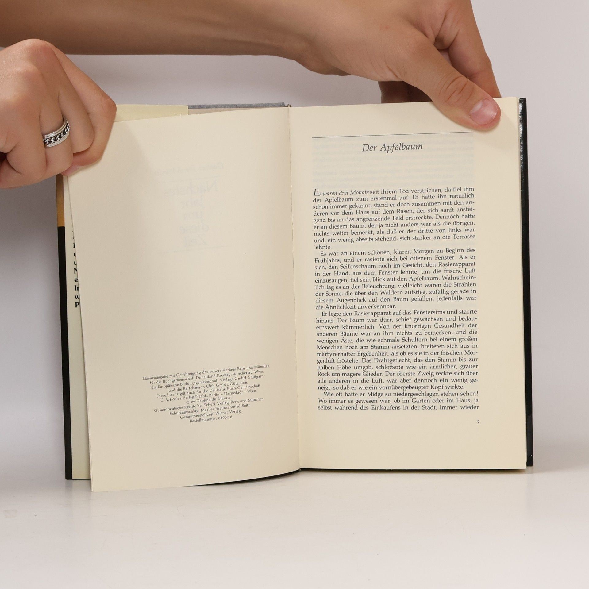 Daphne du Maurier Nächstes Jahr um diese Zeit