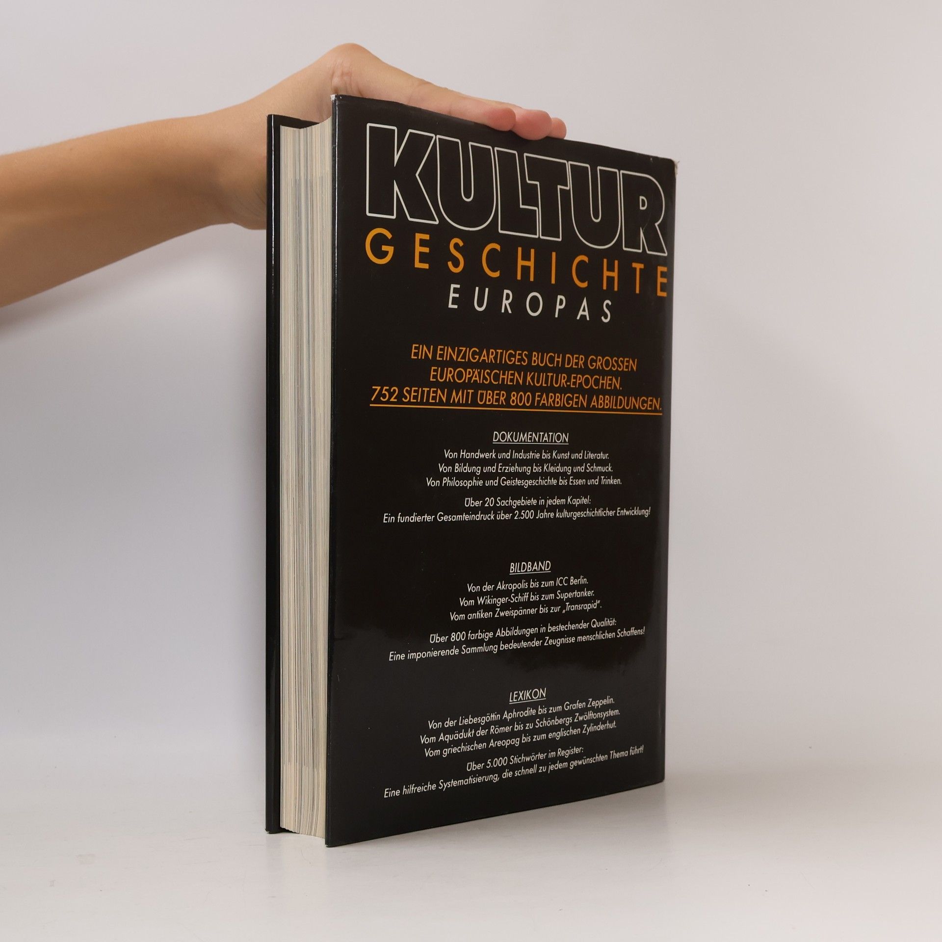 Kolektiv autorů Kultur Geschichte Europas