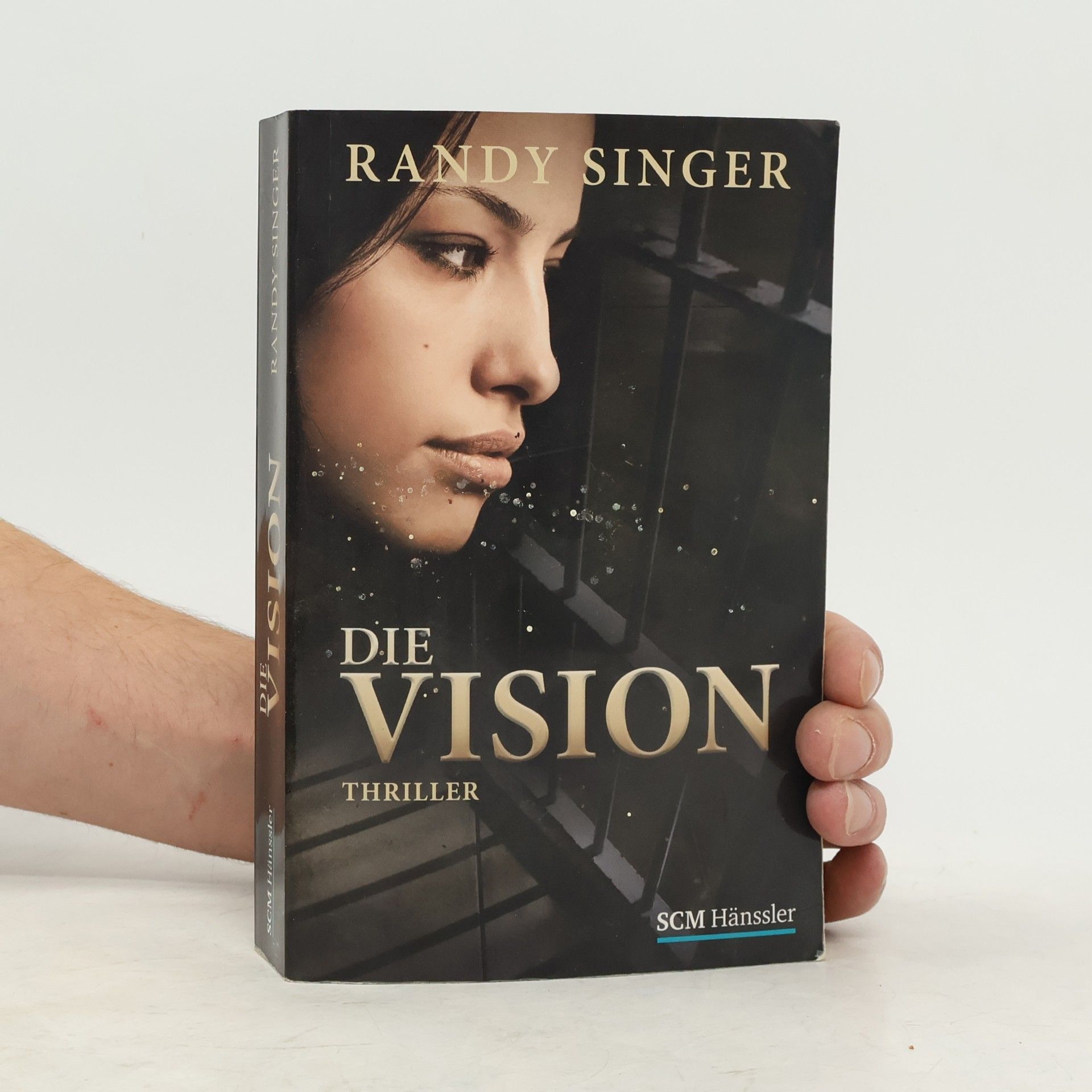 Randy Singer Die Vision