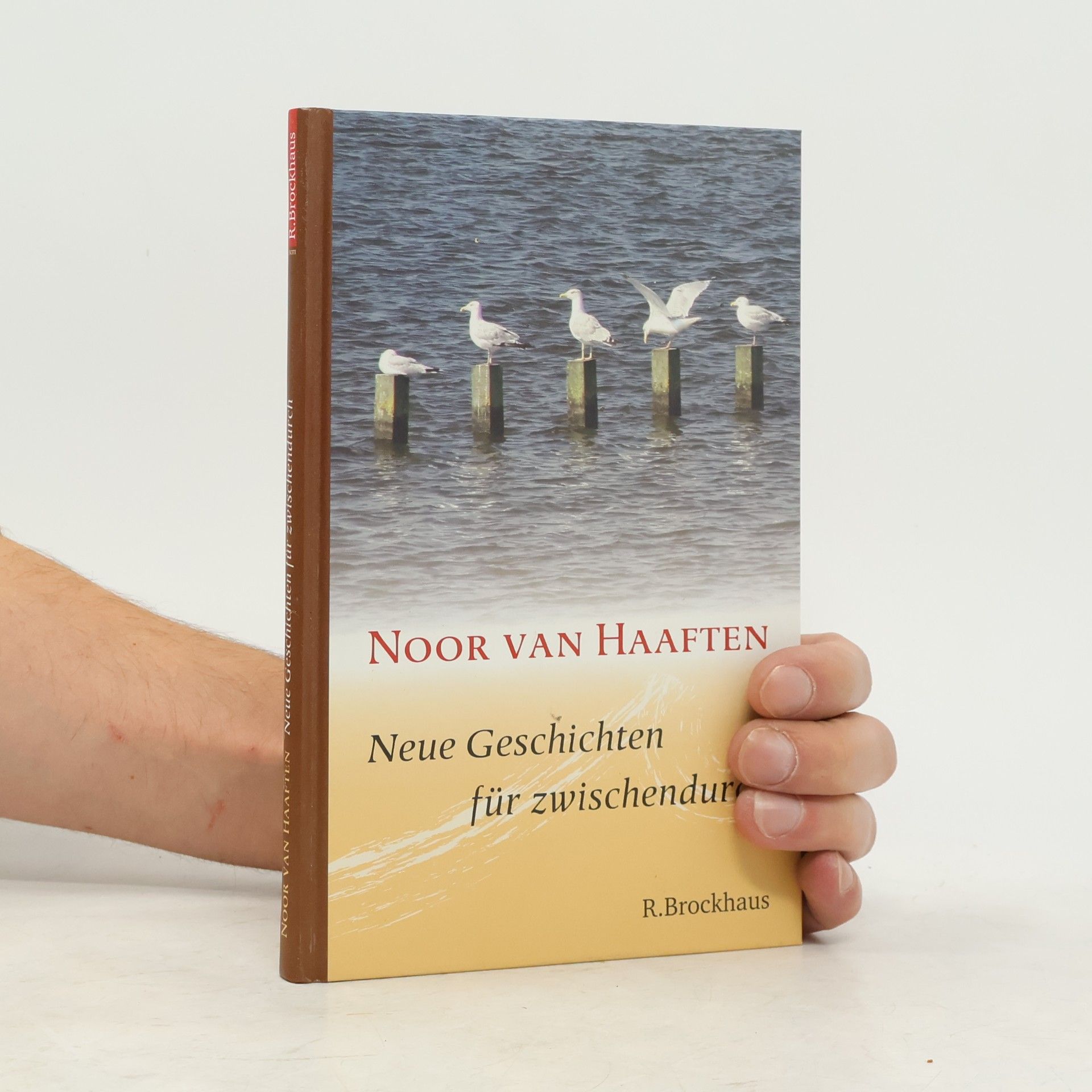 Noor van Haaften Neue Geschichten für zwischendurch