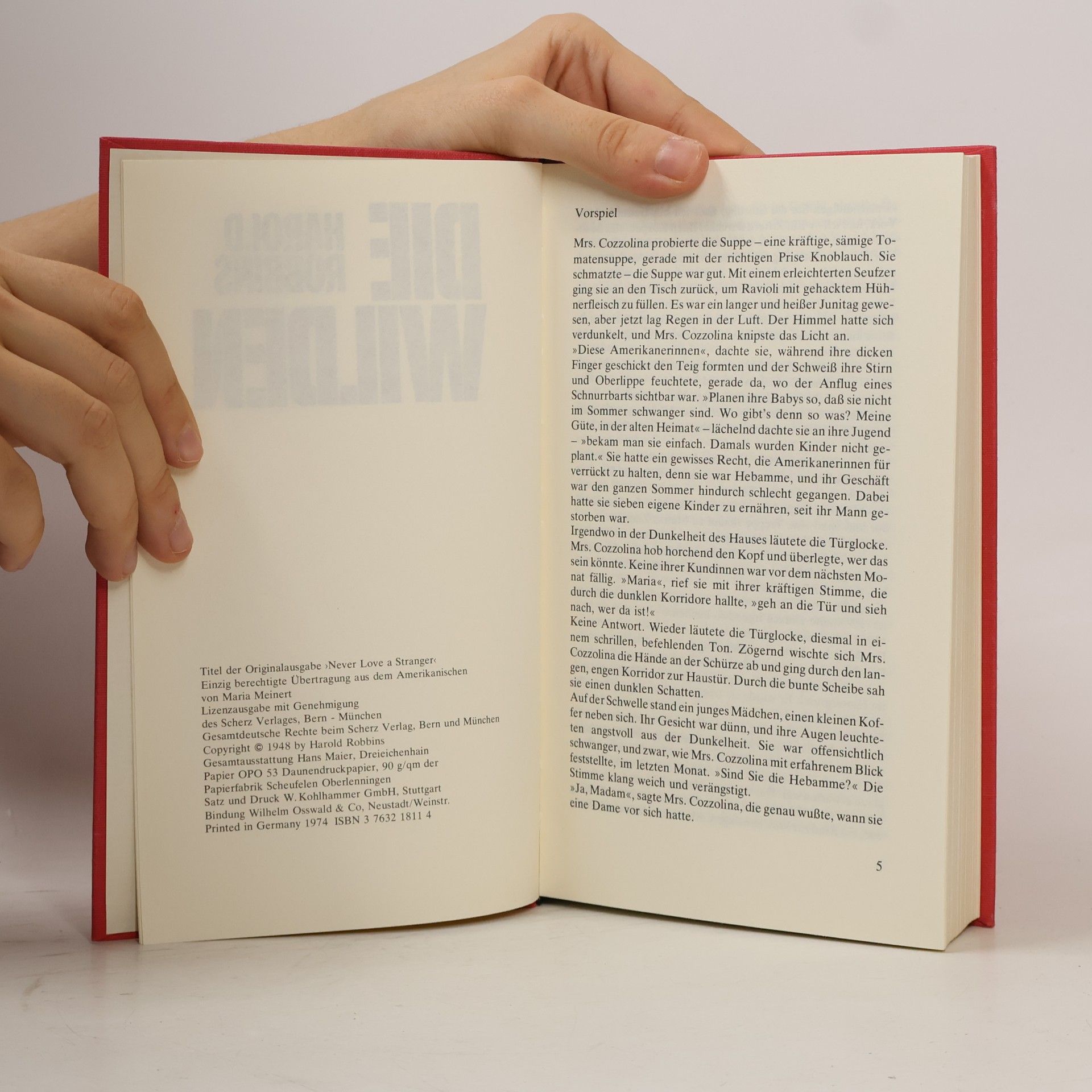 Harold Robbins Die Wilden
