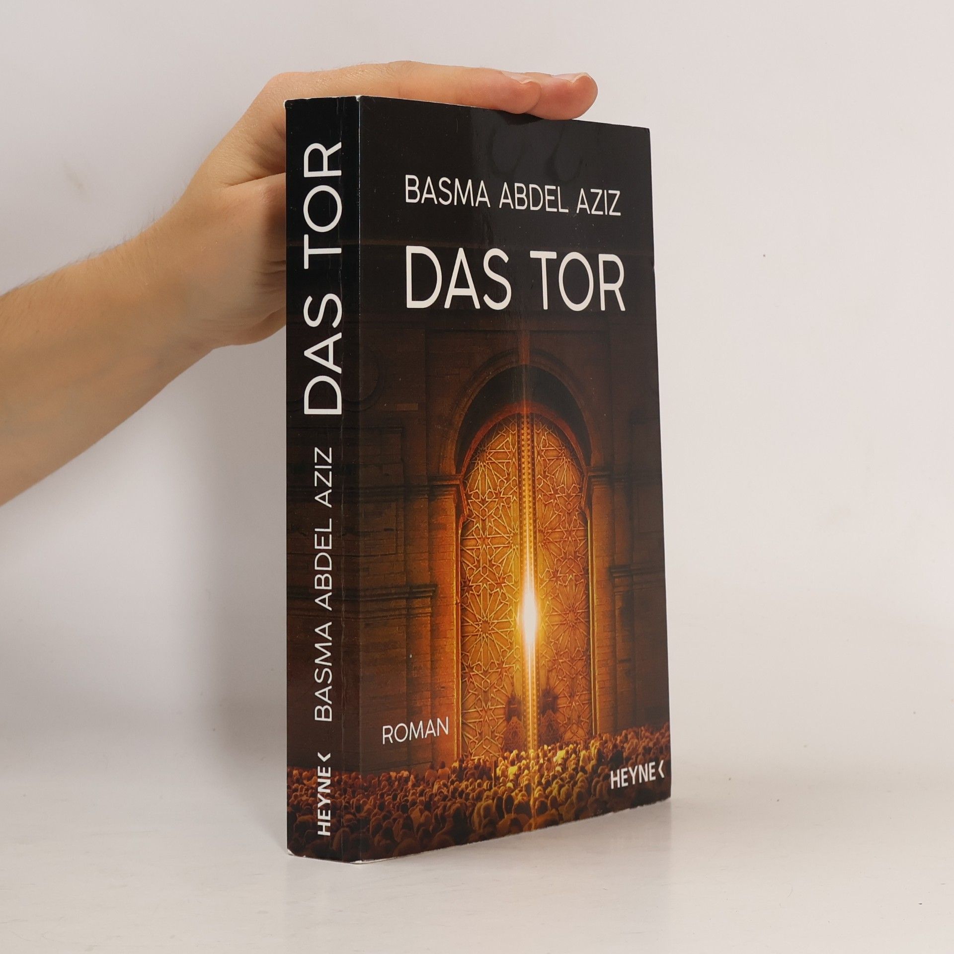 Basma Abdel Aziz Das Tor